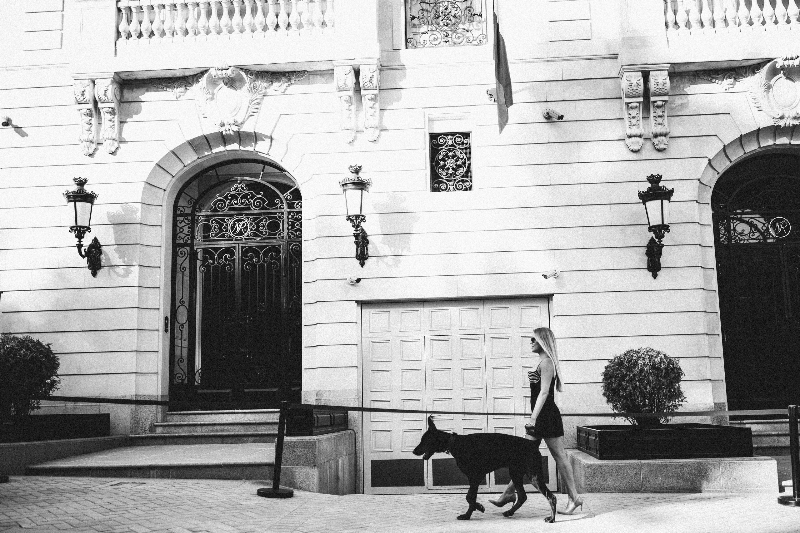 Фото дни с Доберманом. Свадебный фотограф в Москве и Твери