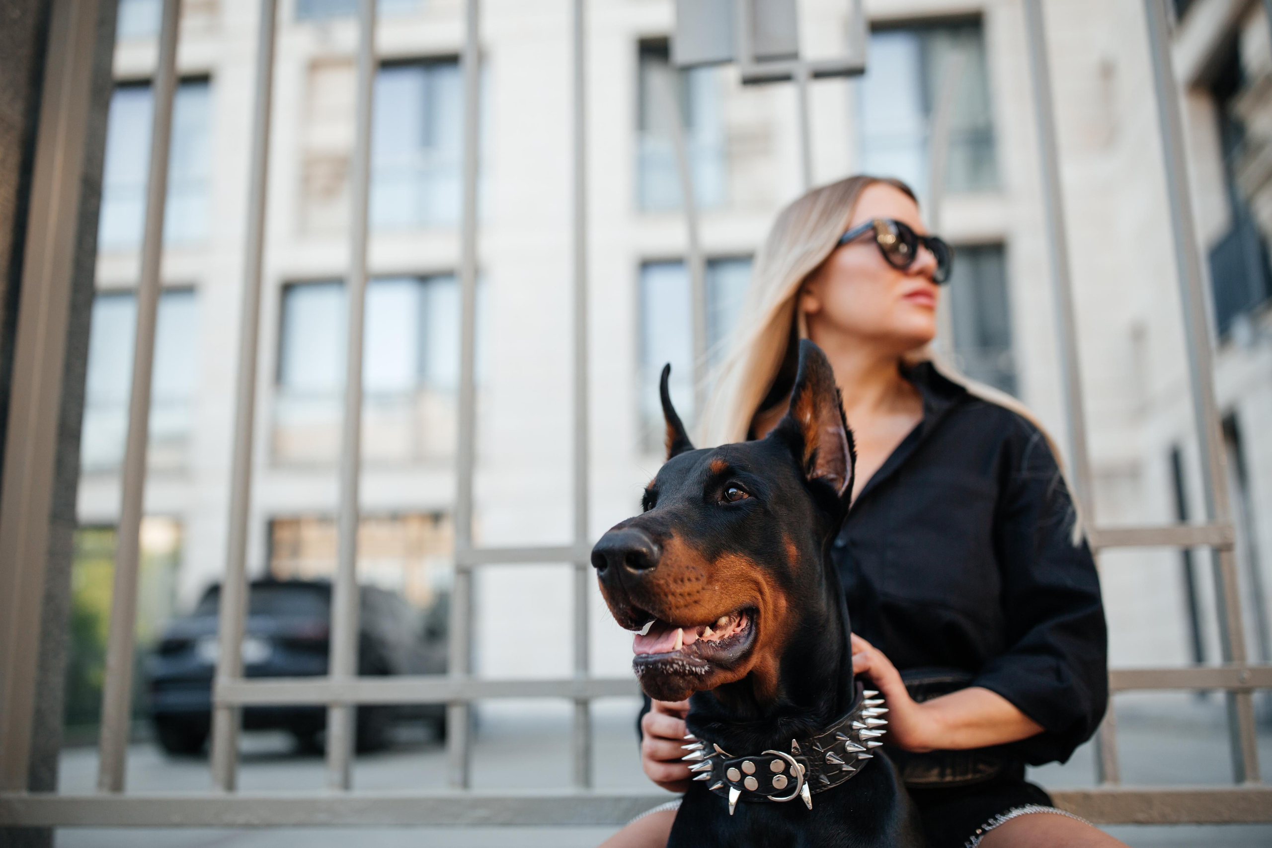 Фото дни с Доберманом. Свадебный фотограф в Москве и Твери