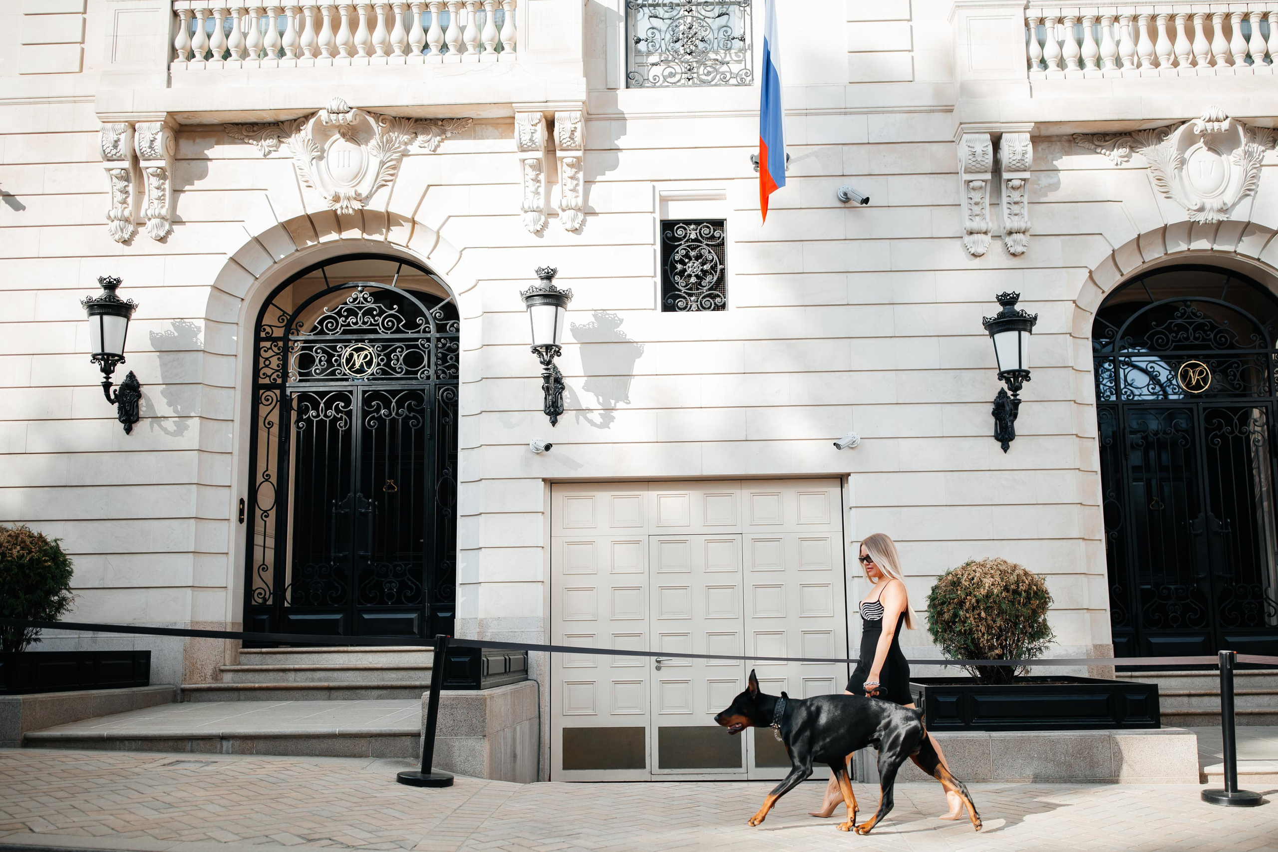 Фото дни с Доберманом. Свадебный фотограф в Москве и Твери