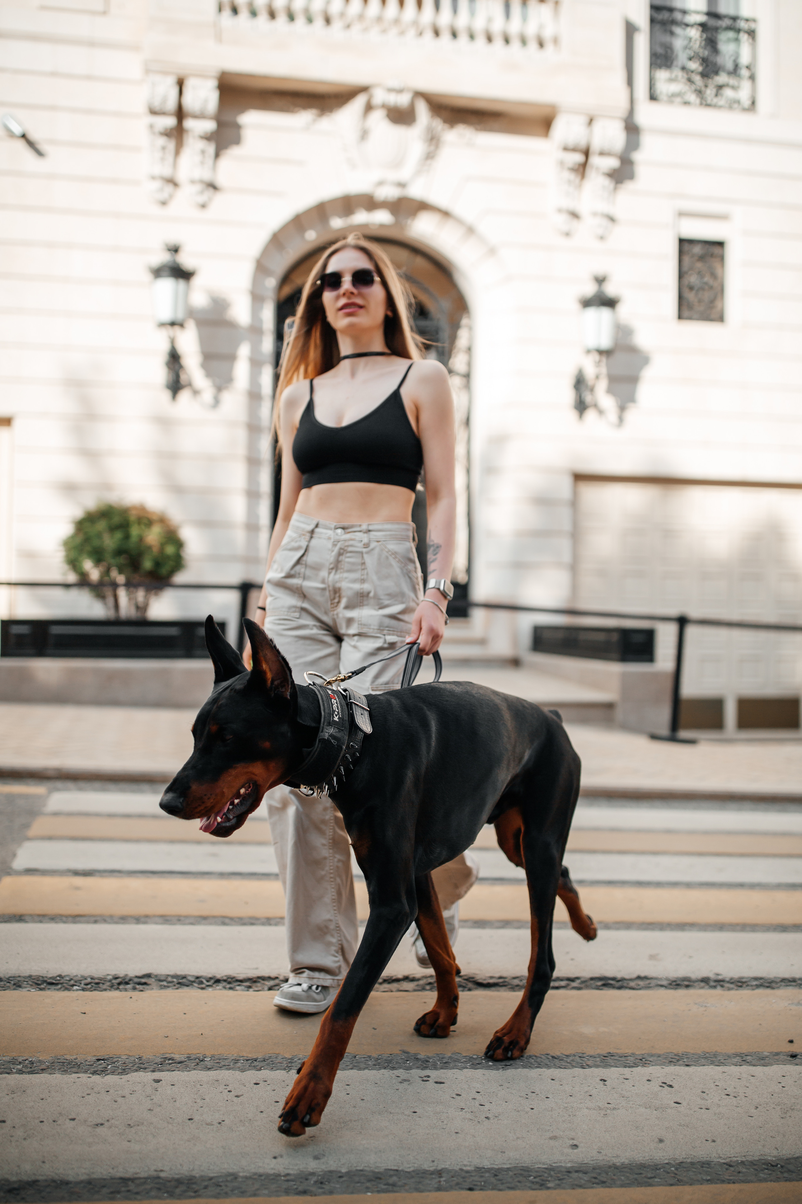 Фото дни с Доберманом. Свадебный фотограф в Москве и Твери