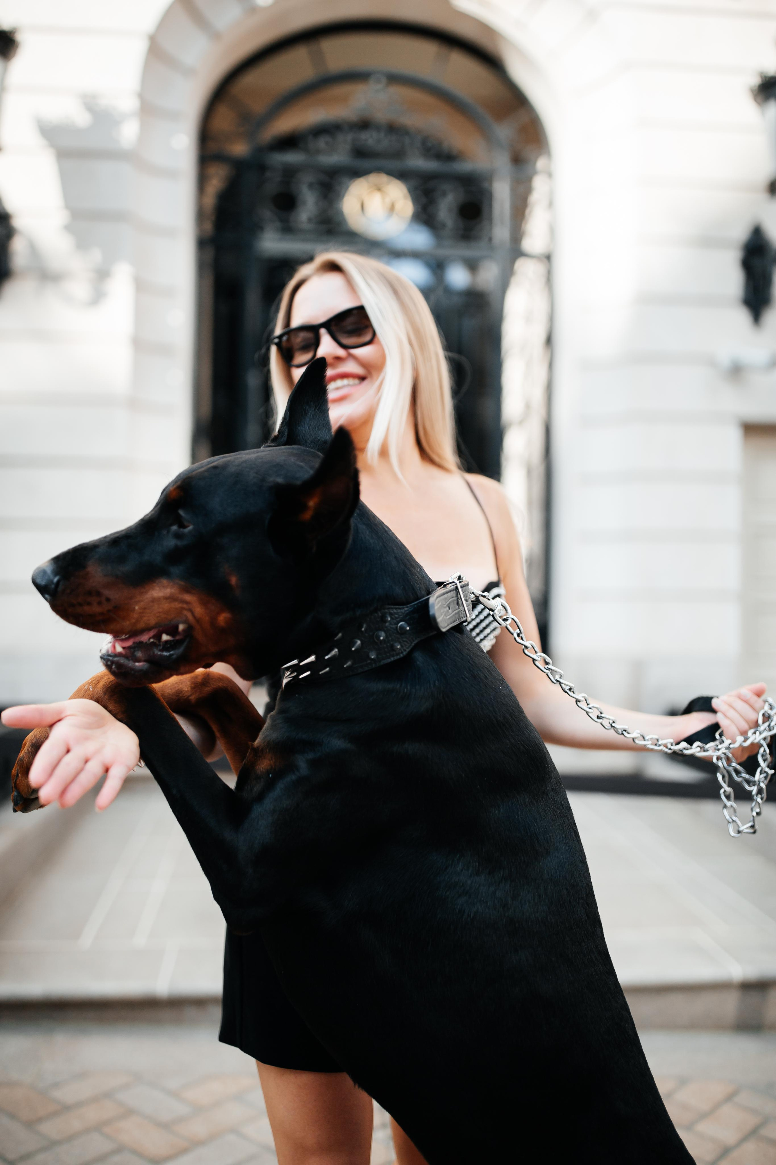 Фото дни с Доберманом. Свадебный фотограф в Москве и Твери