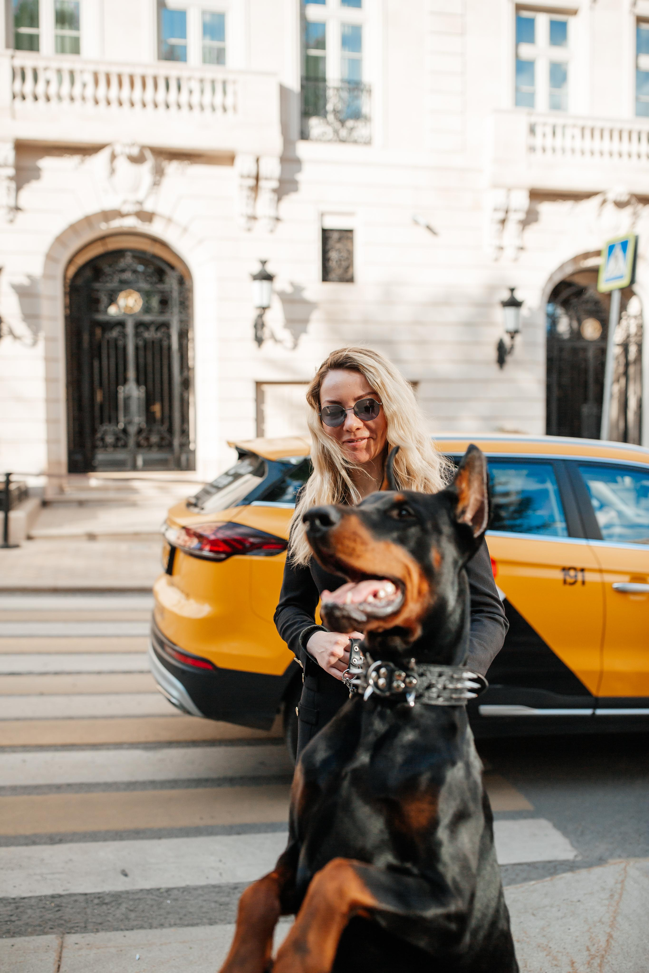 Фото дни с Доберманом. Свадебный фотограф в Москве и Твери