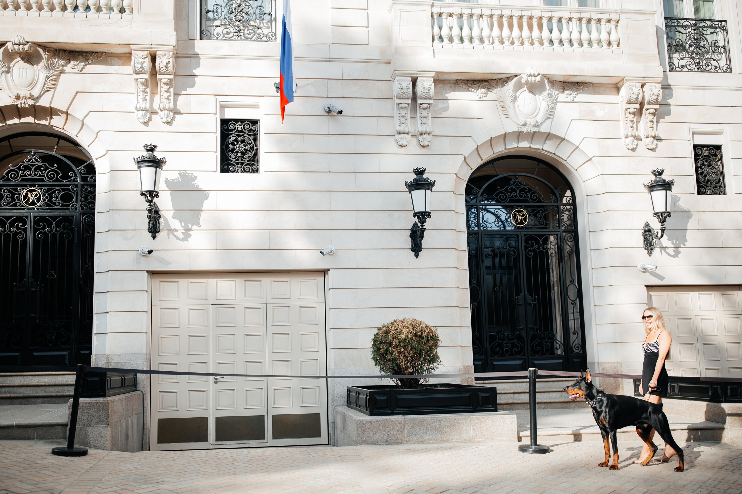 Фото дни с Доберманом. Свадебный фотограф в Москве и Твери