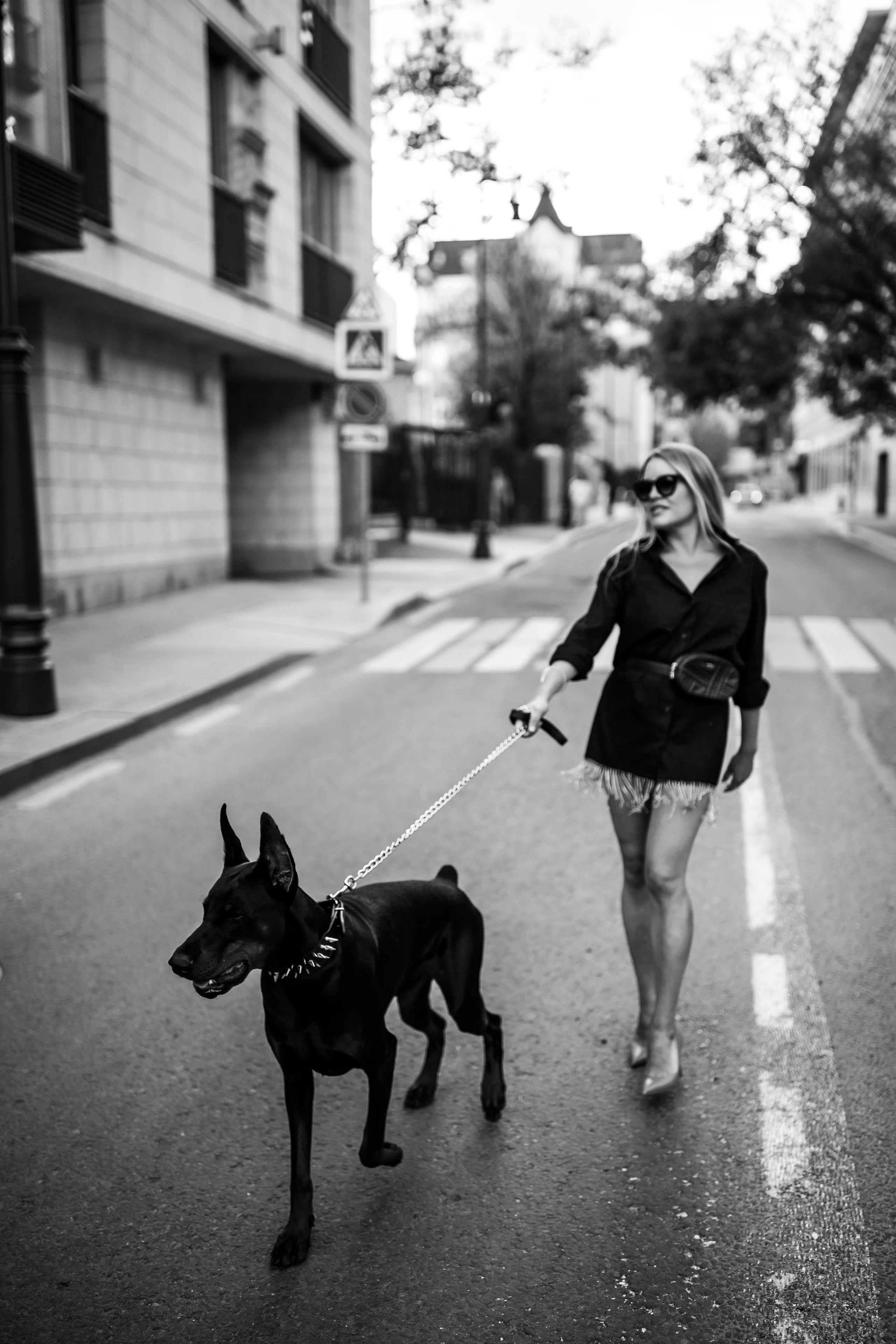 Фото дни с Доберманом. Свадебный фотограф в Москве и Твери