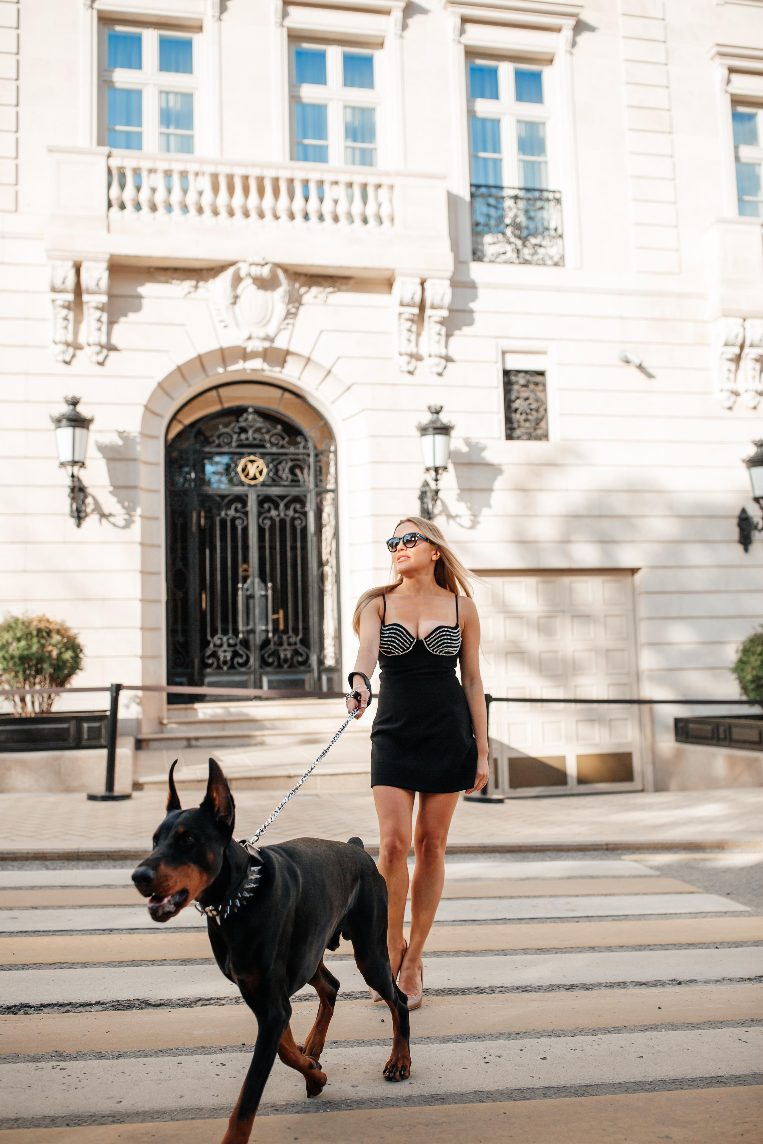 Фото дни с Доберманом. Свадебный фотограф в Москве и Твери