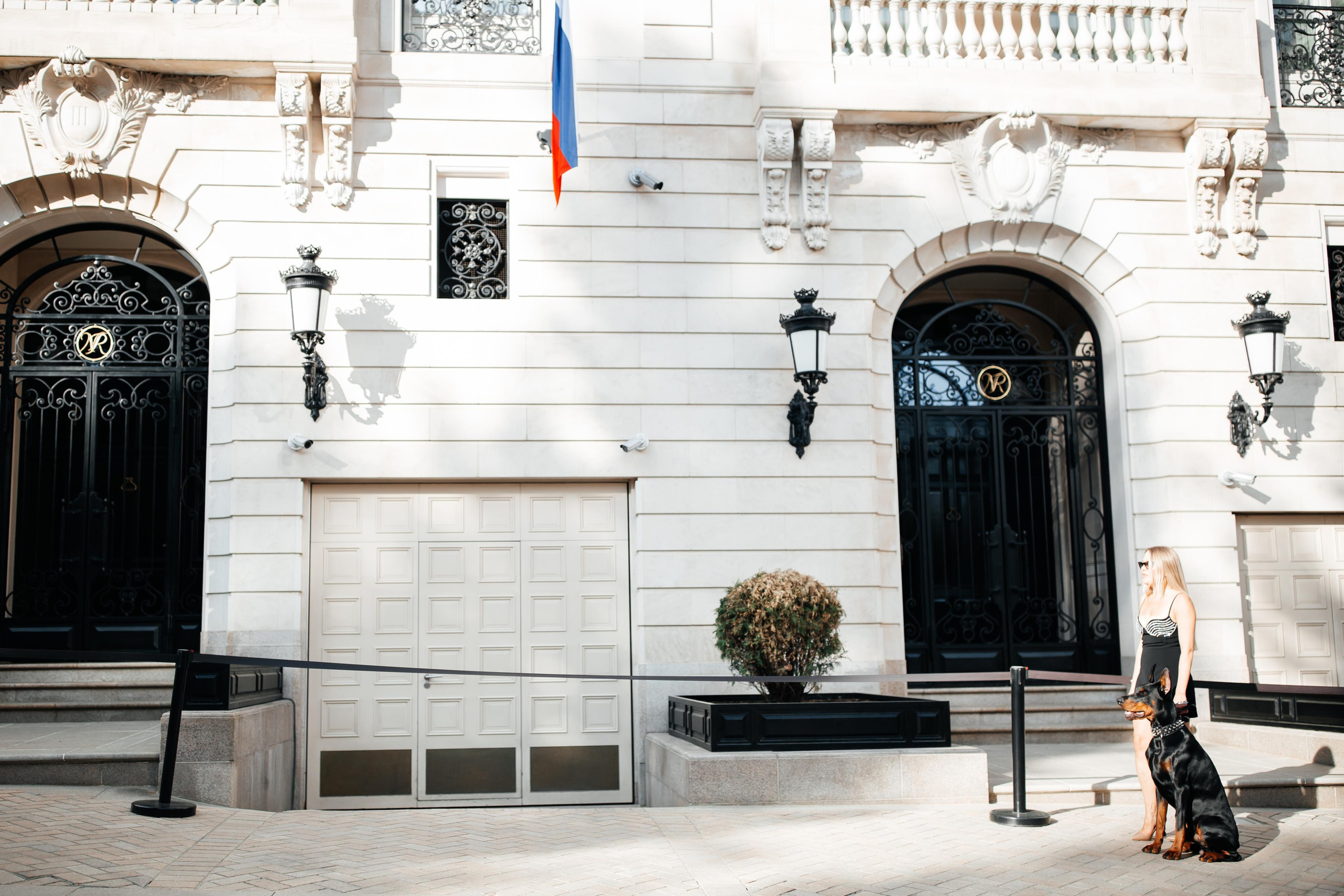 Фото дни с Доберманом. Свадебный фотограф в Москве и Твери