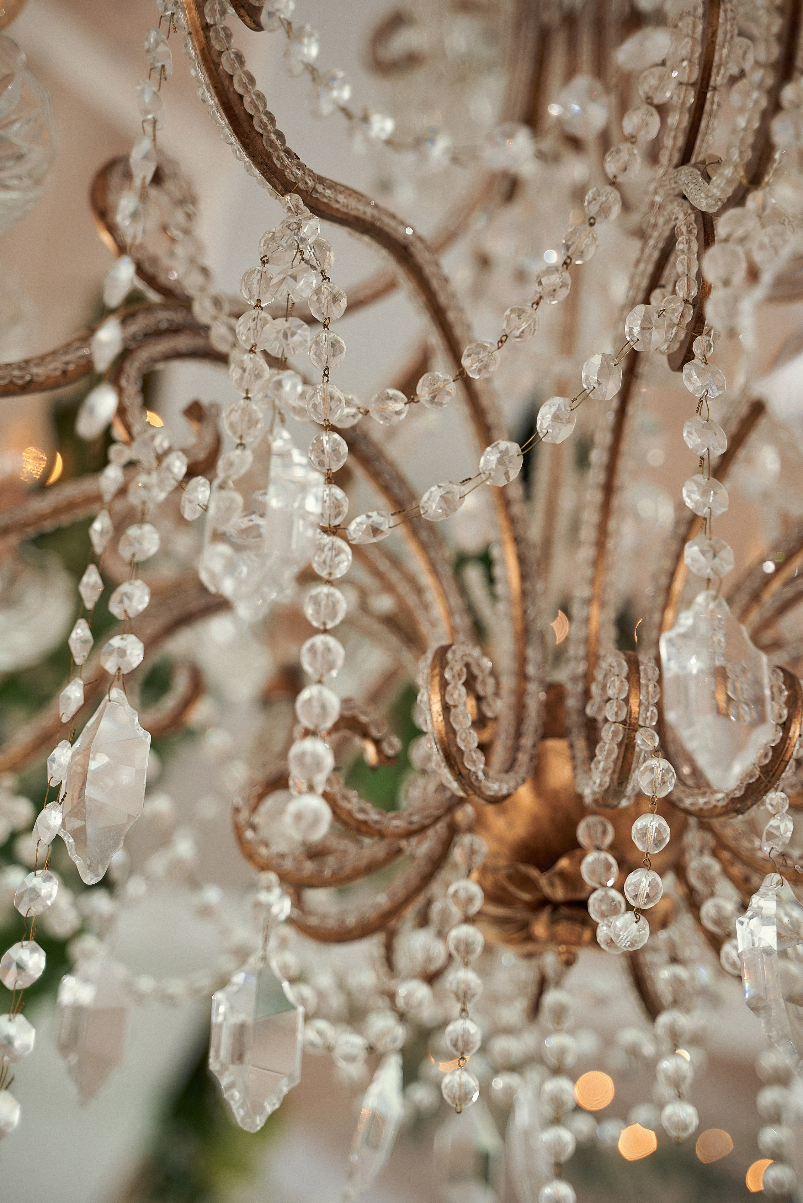 Свадебная съемка Брянск Москва Свадебный фотограф фотограф на свадьбу  фотограф Орел. Свадебный и портретный фотограф в Брянске Скепская Лилия