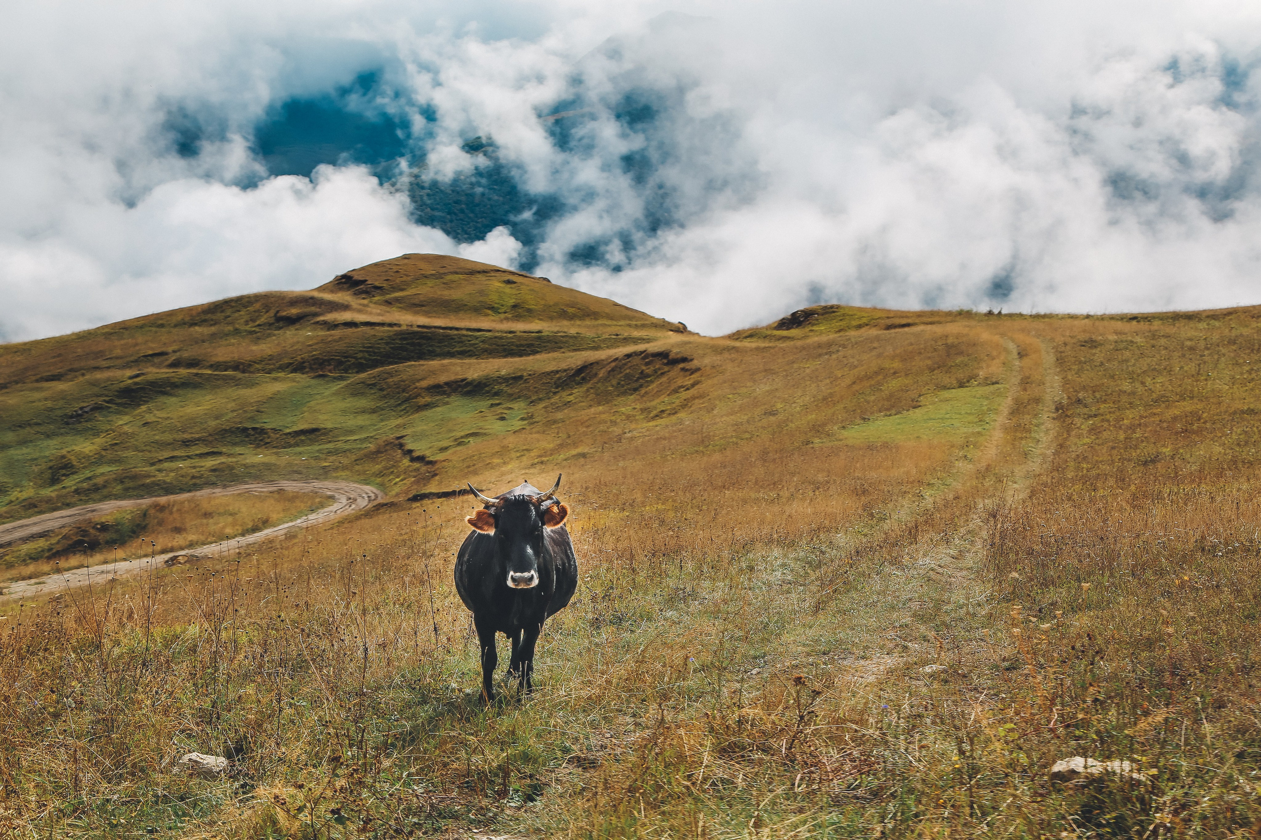 Кавказ: Безенги в Кабардино-Балкарии. Дарья Письменюк / Darya Leitstern — фотограф, музыкант, журналист, путешественник