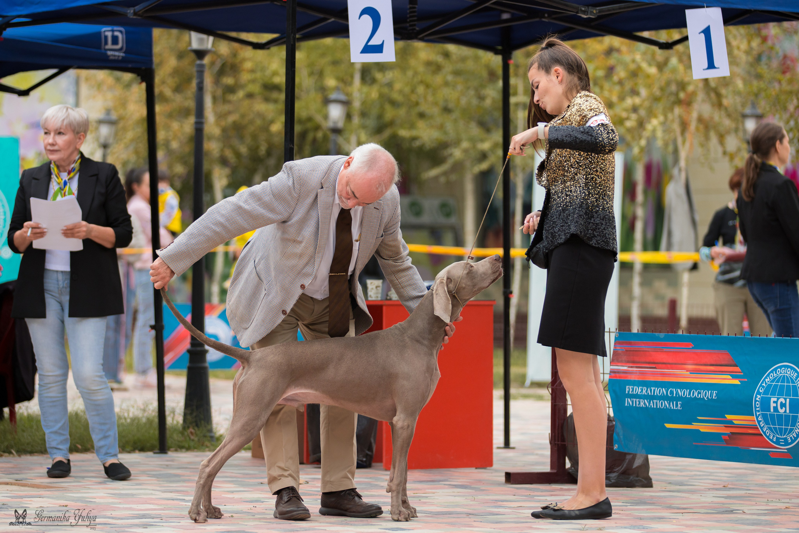 Ташкент 6-8.10.2023 + Алматы 14-15.10.2023. Фотограф-анималист Юлия Германика