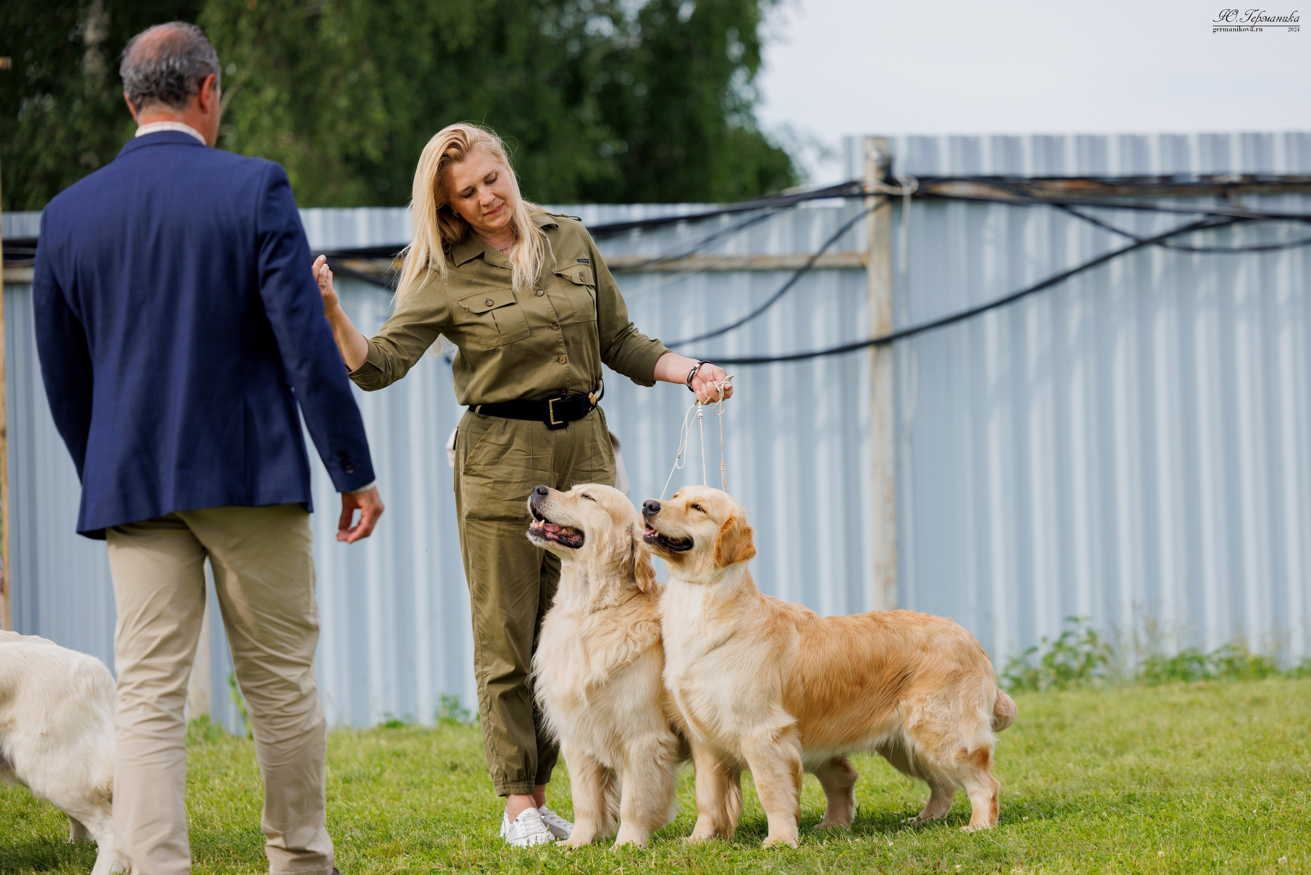 Голдены 15-16.06.2024. Фотограф-анималист Юлия Германика