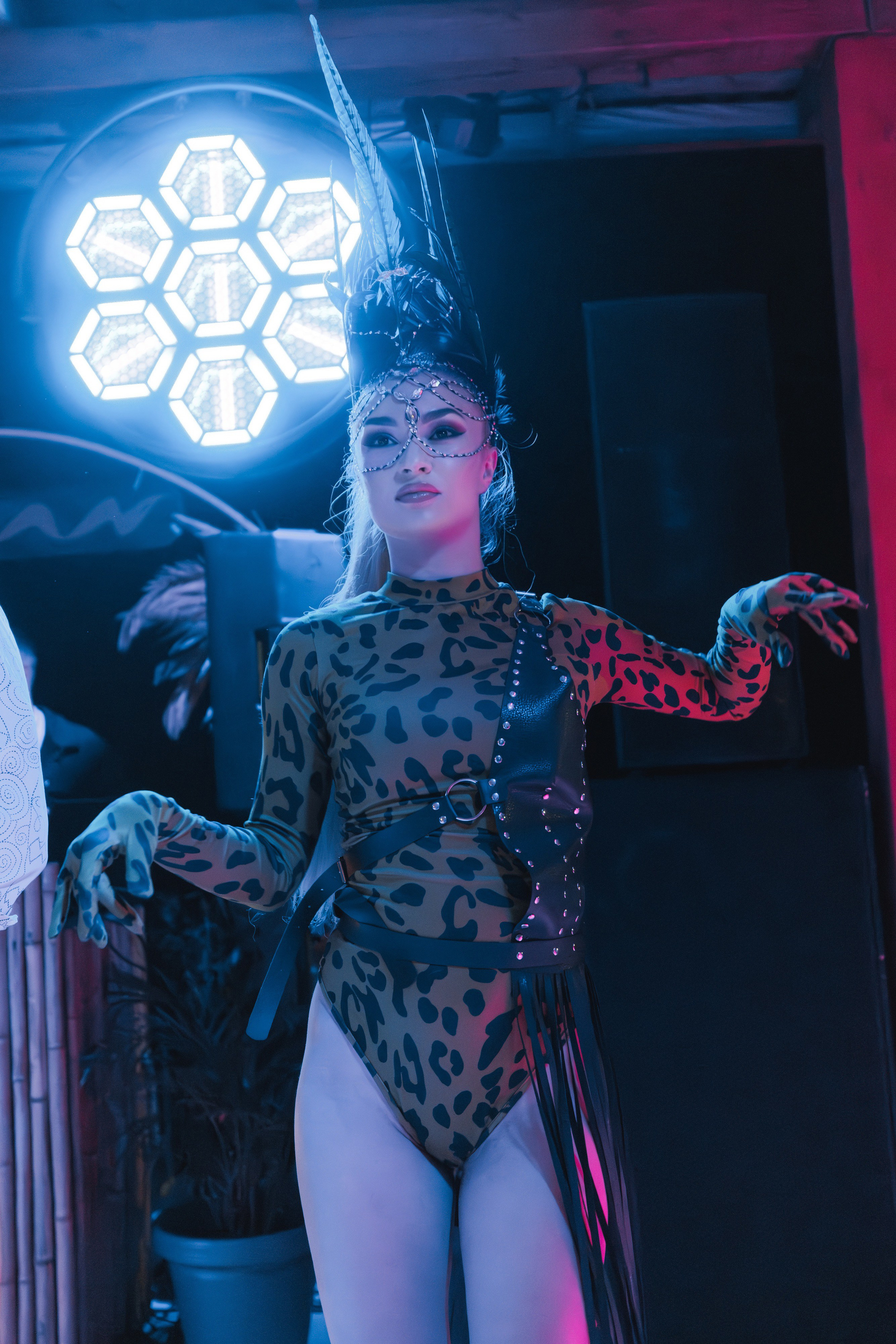 31.05.2025 TROPICAL DISCO BIRTHDAY PARTY. ProVizArt