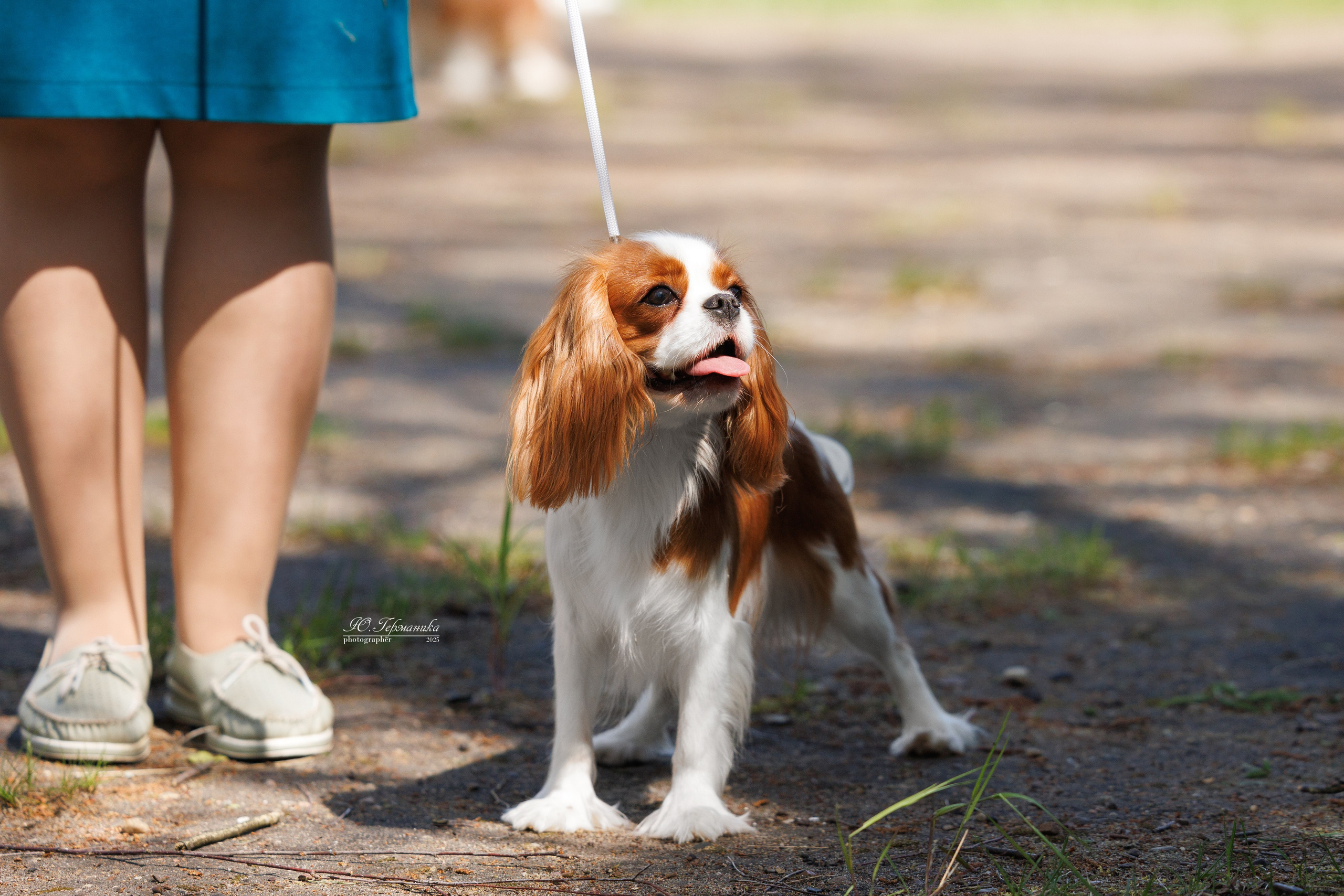 Тверь 24.05.2025. Фотограф-анималист Юлия Германика