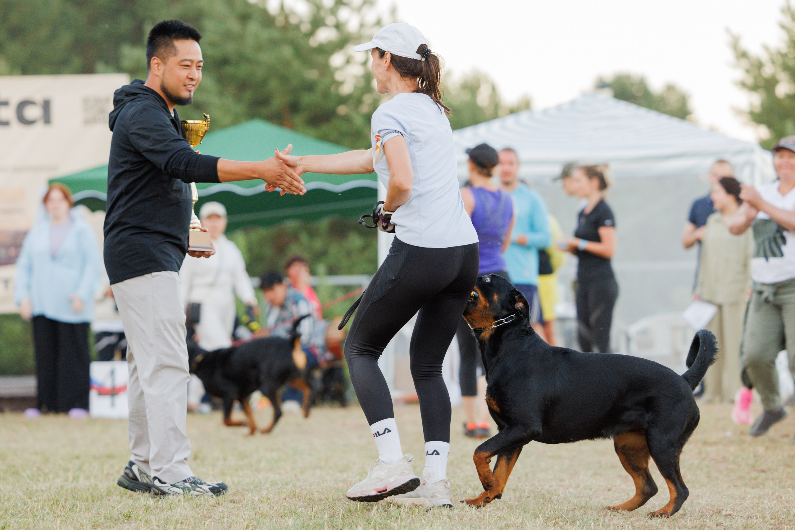ПК и КЧК ротвейлеры Тверь 6-7.07.2024. Фотограф-анималист Юлия Германика