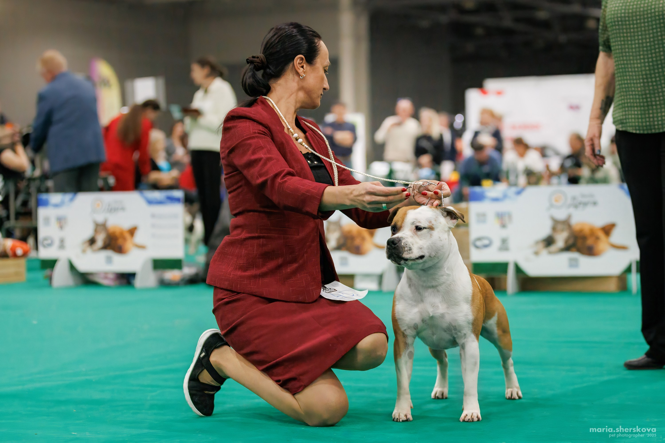 Выставки. Фотограф-анималист в Калуге Мария Шерскова