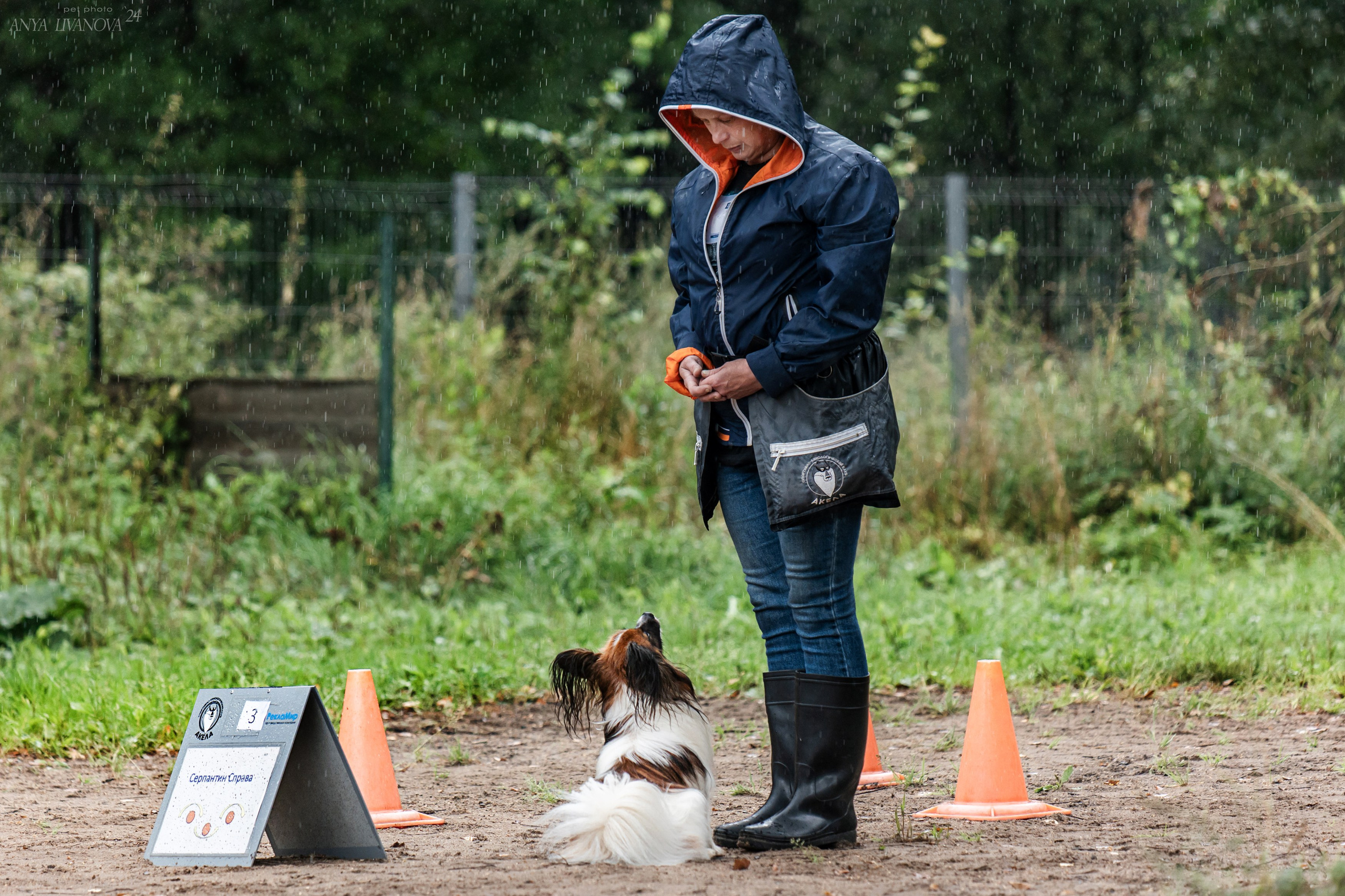 Ралли «Акела». Фотограф анималист Аня Ливанова | Рыбинск