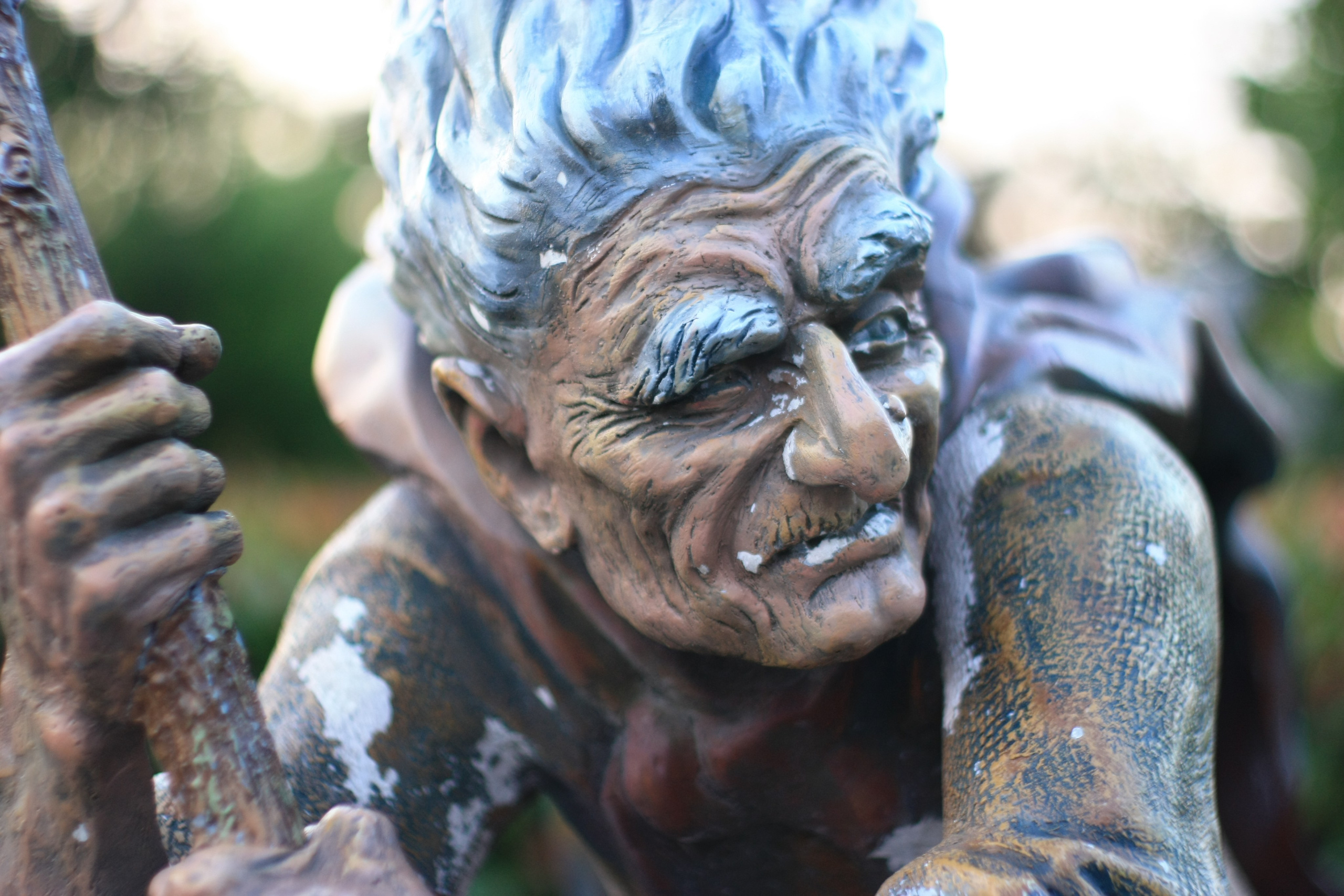 Первые кадры. Сочи — парк. Фотограф Роман Адлер