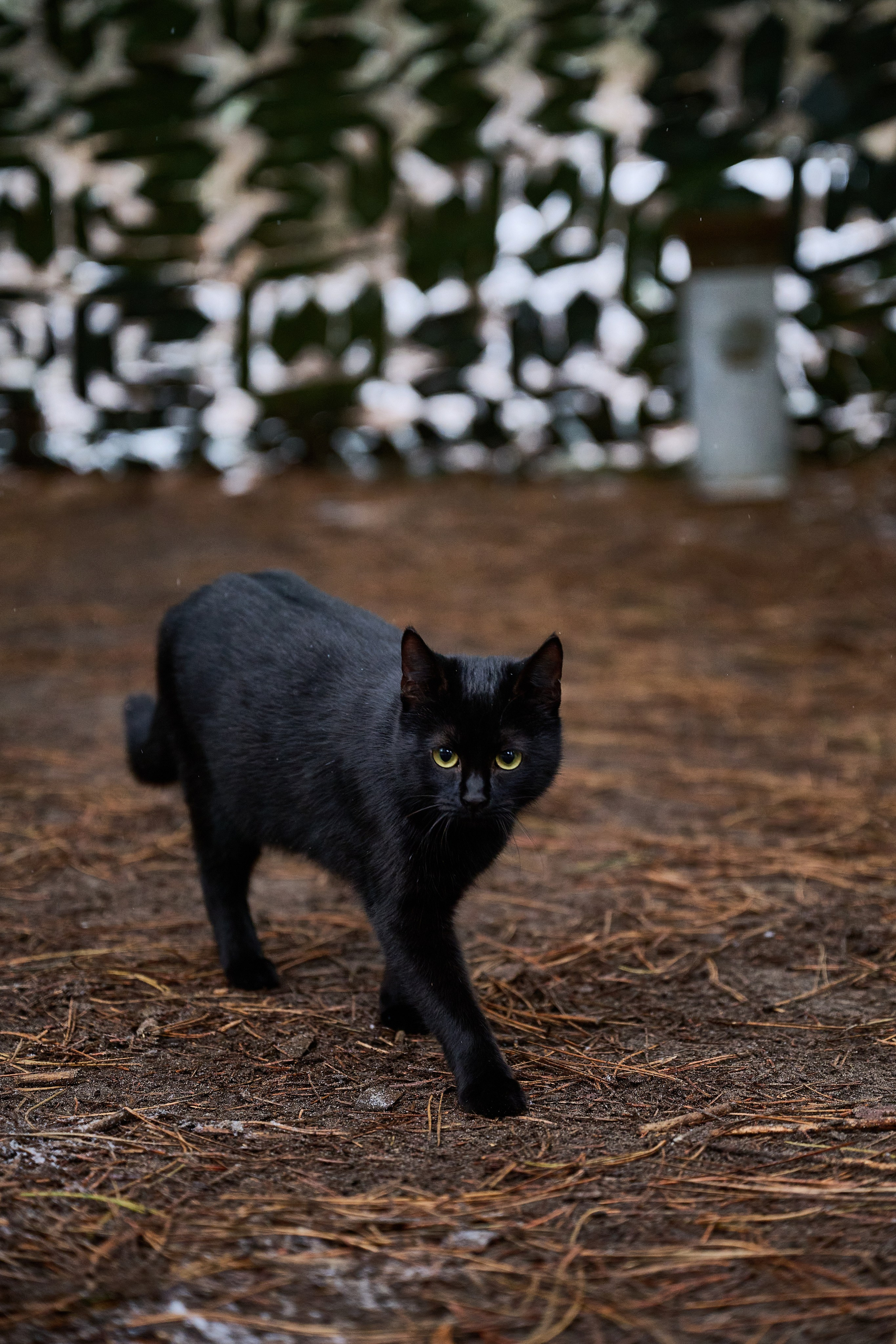 Будни съёмок фотопроекта Территории. Фотограф Роман Адлер