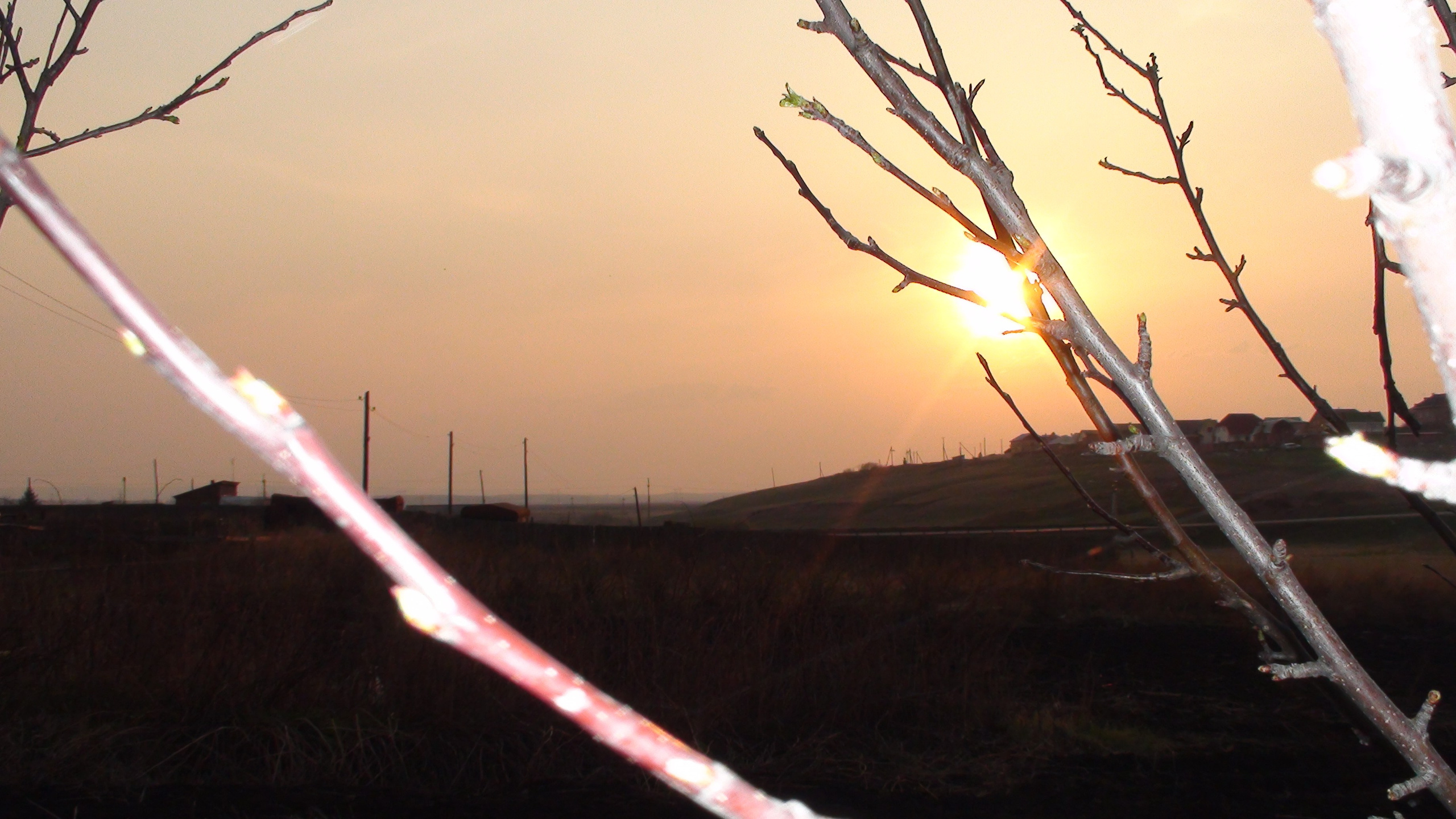 Дача 11.05.2009. Семейный, Свадебный фотограф СПБ Питер— Романова Екатерина