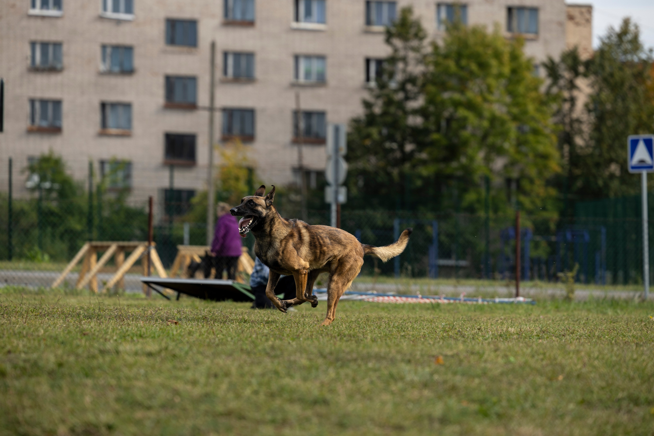 Испытания по Мондьорингу г. Пушкин. Фотограф-анималист Анна Маринич