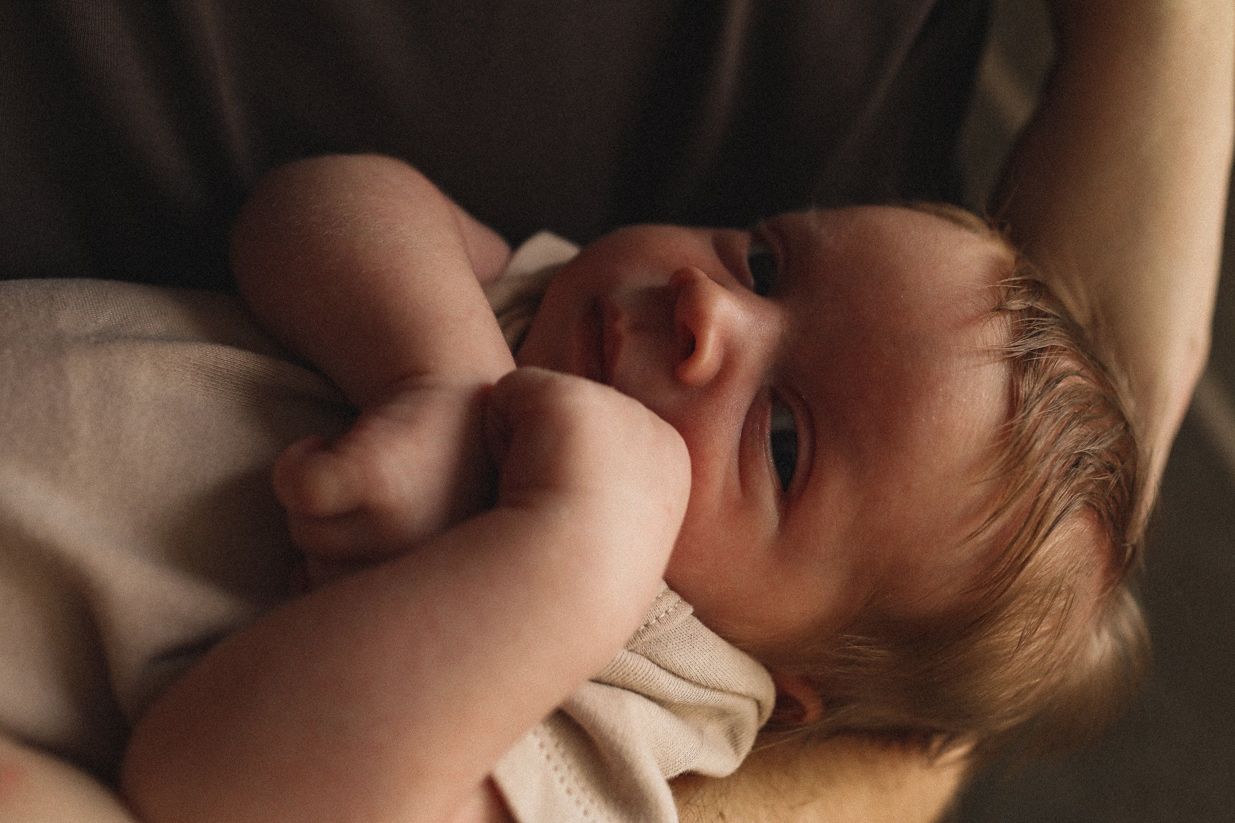Про Аню, Аркадия, Макса и душку Кекса. Семейный фотограф в Москве Алевтина Носова