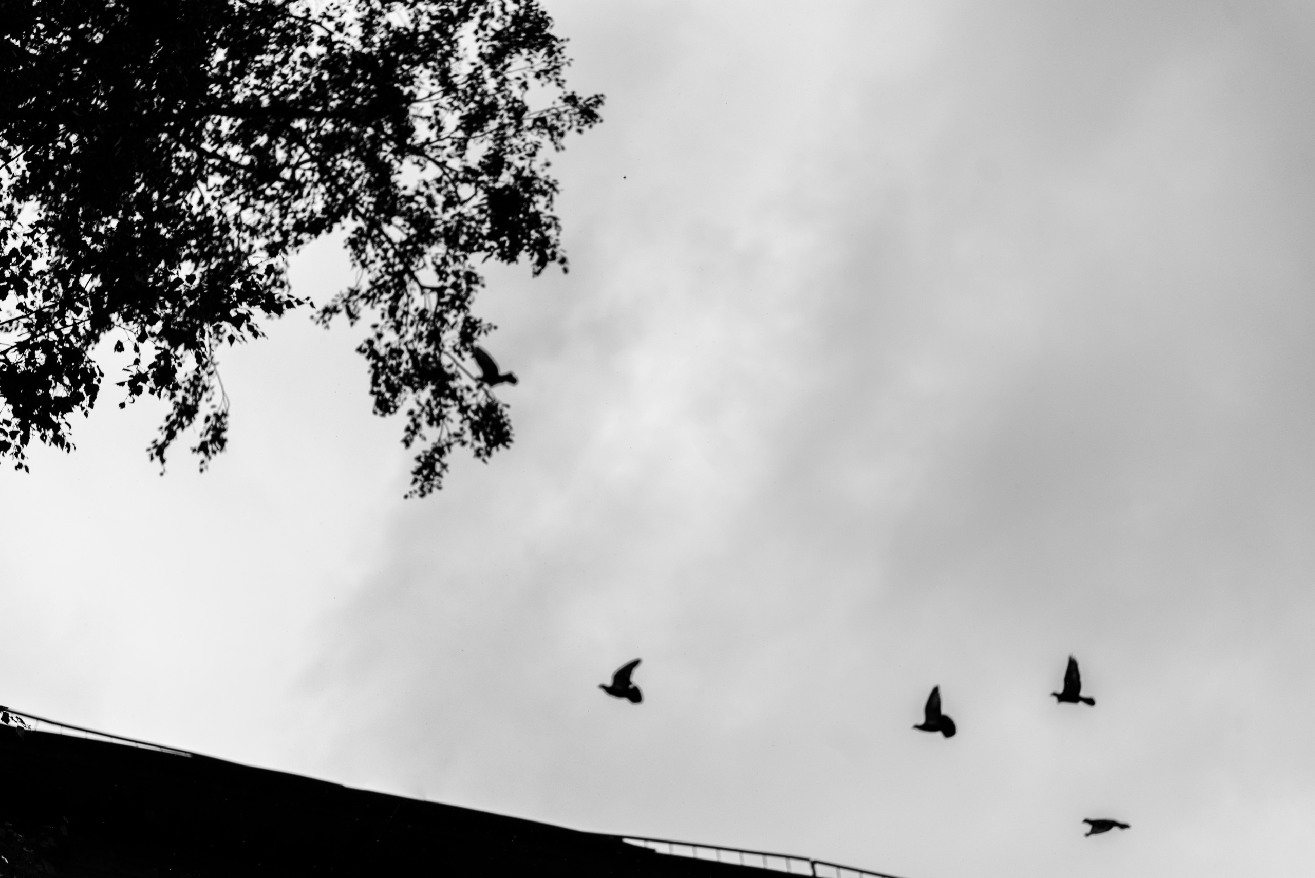 Анонс свадьбы 10.08.2019 Сергея & Натальи. Свадебный и семейный фотограф в Уфе | Винс Константин | Фотопроекты