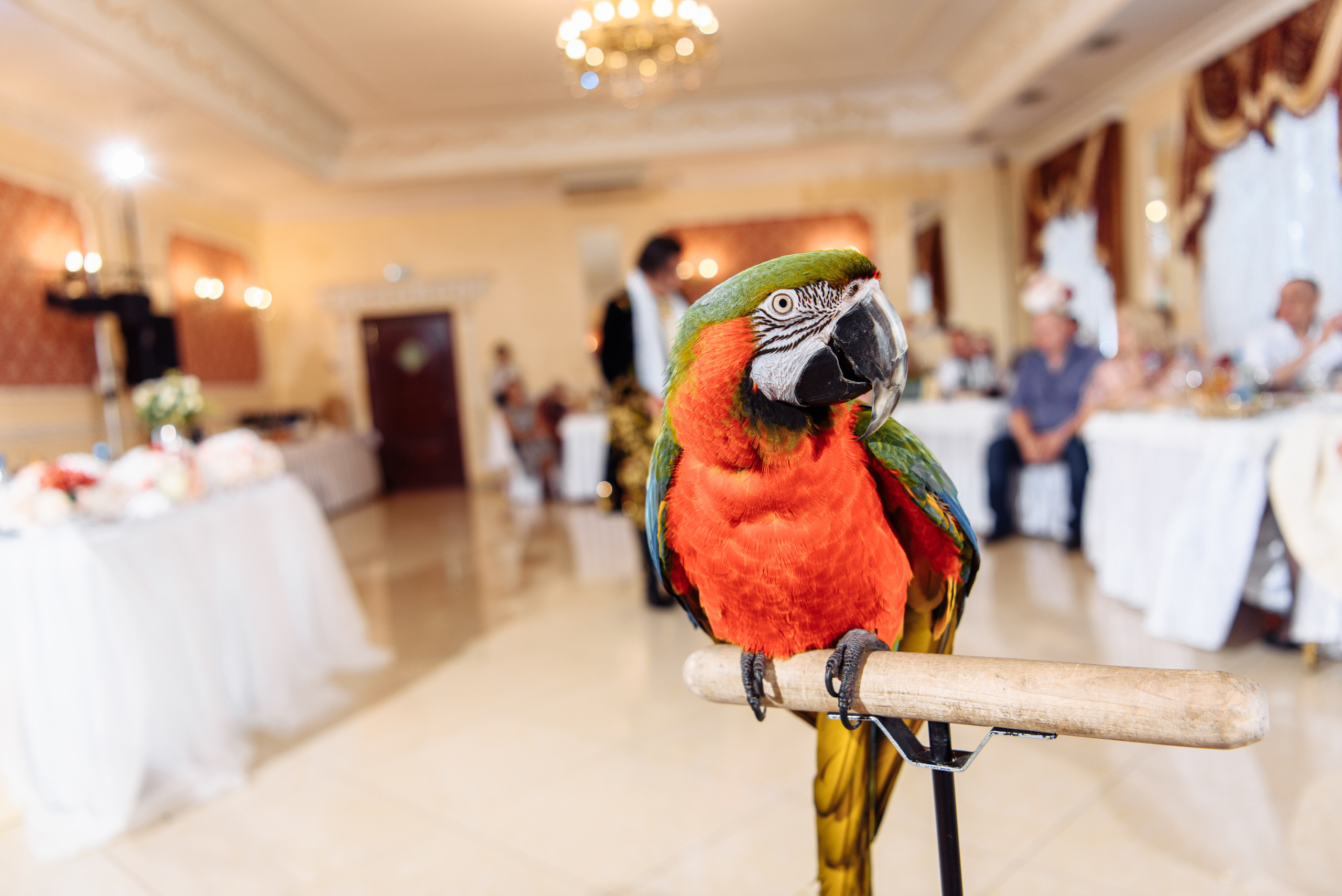 Анонс свадьбы 10.08.2019 Сергея & Натальи. Свадебный и семейный фотограф в Уфе | Винс Константин | Фотопроекты