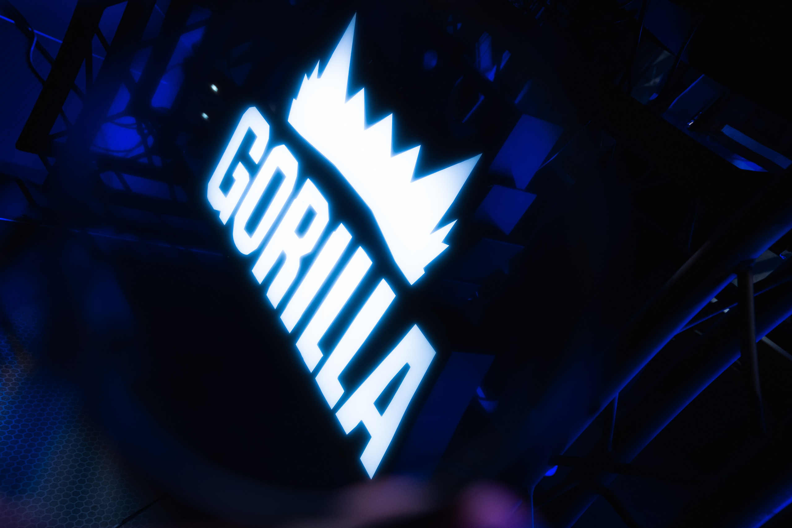 GORILLA GROOVE STAGE IMBA CAMP 5. Gorillaenergymedia