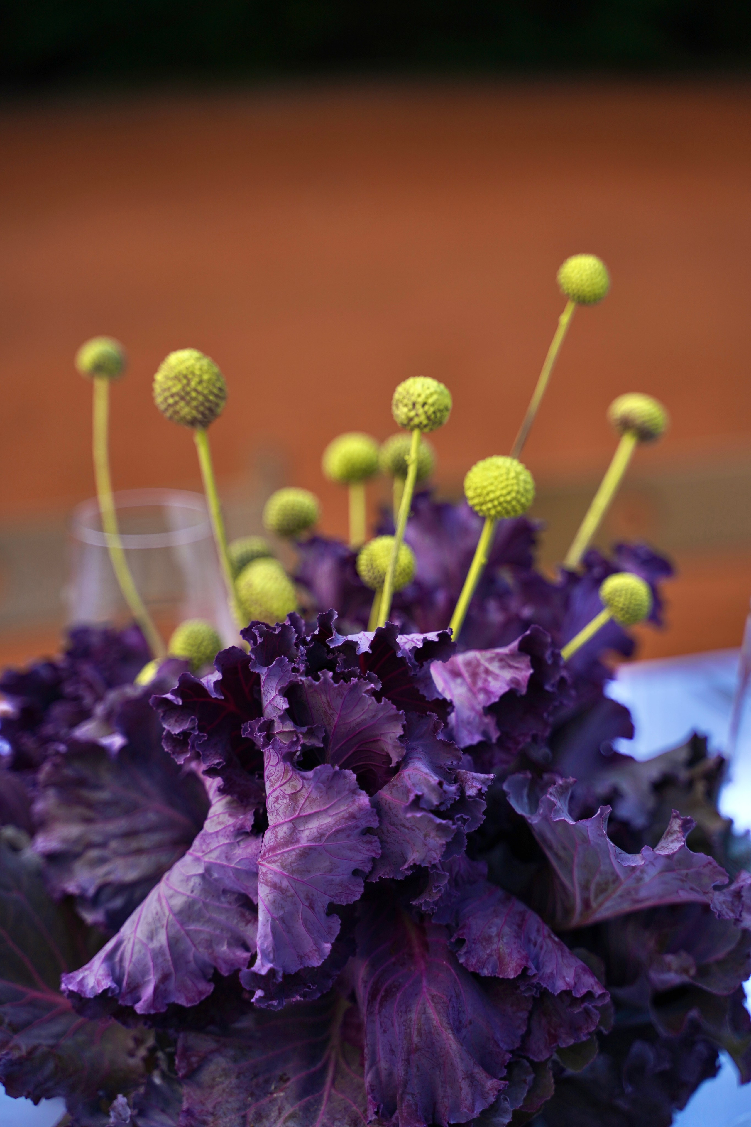 Dech.art.bureau — NRAV. Семейный и детский фотограф в Москве