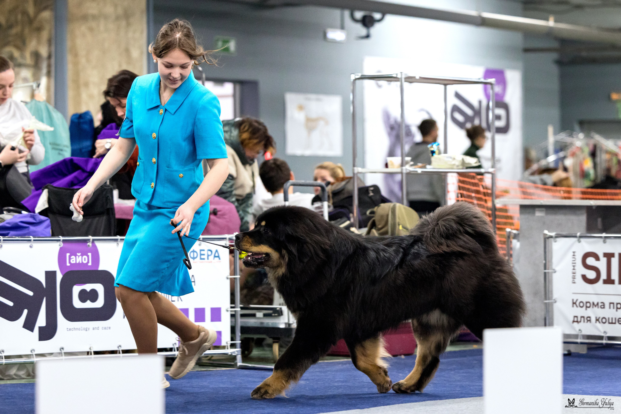 Сфера 28.01. и 4.02.2024. Фотограф-анималист Юлия Германика