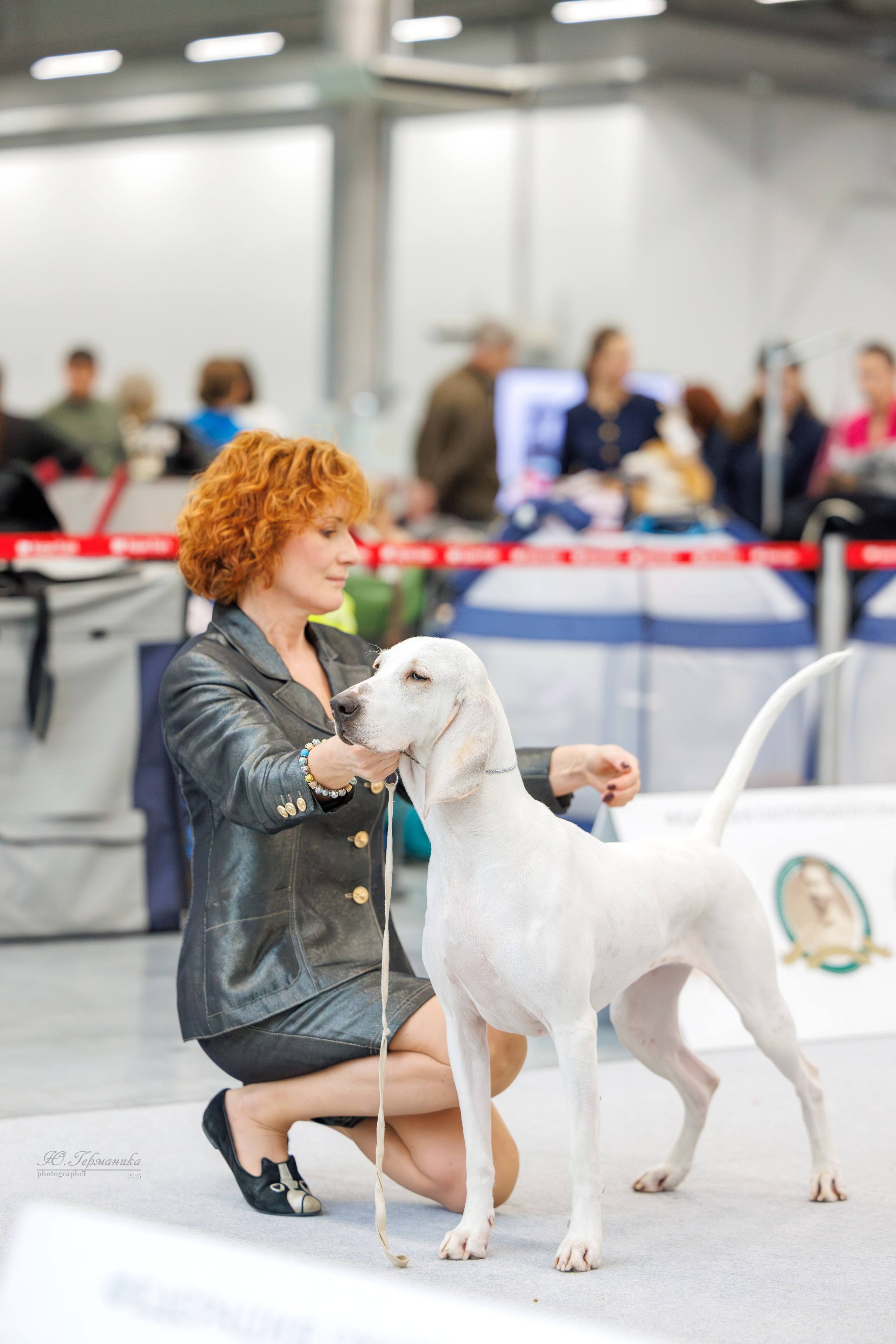 Зилант Казань 29-30.11.2025. Фотограф-анималист Юлия Германика