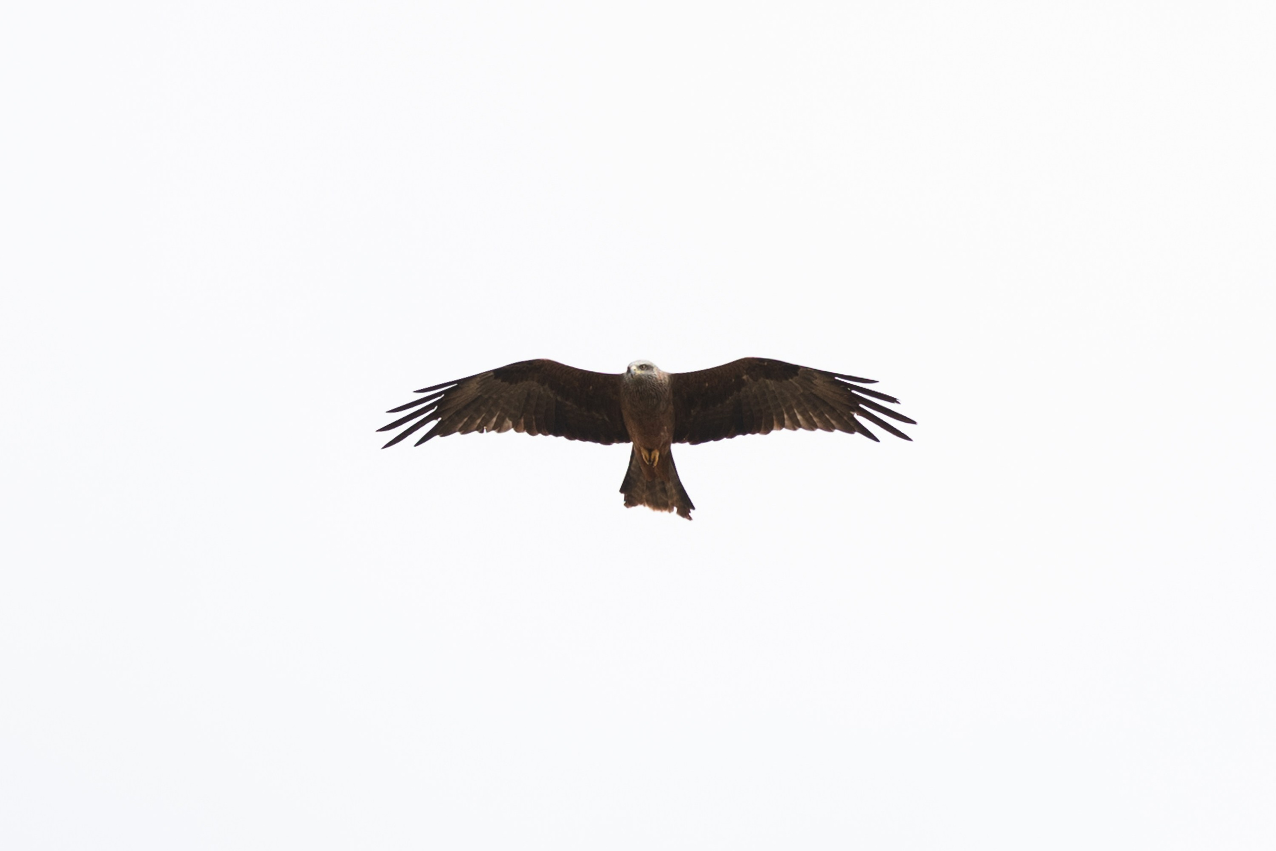 Элиста. Фотограф Владимир Охрименко