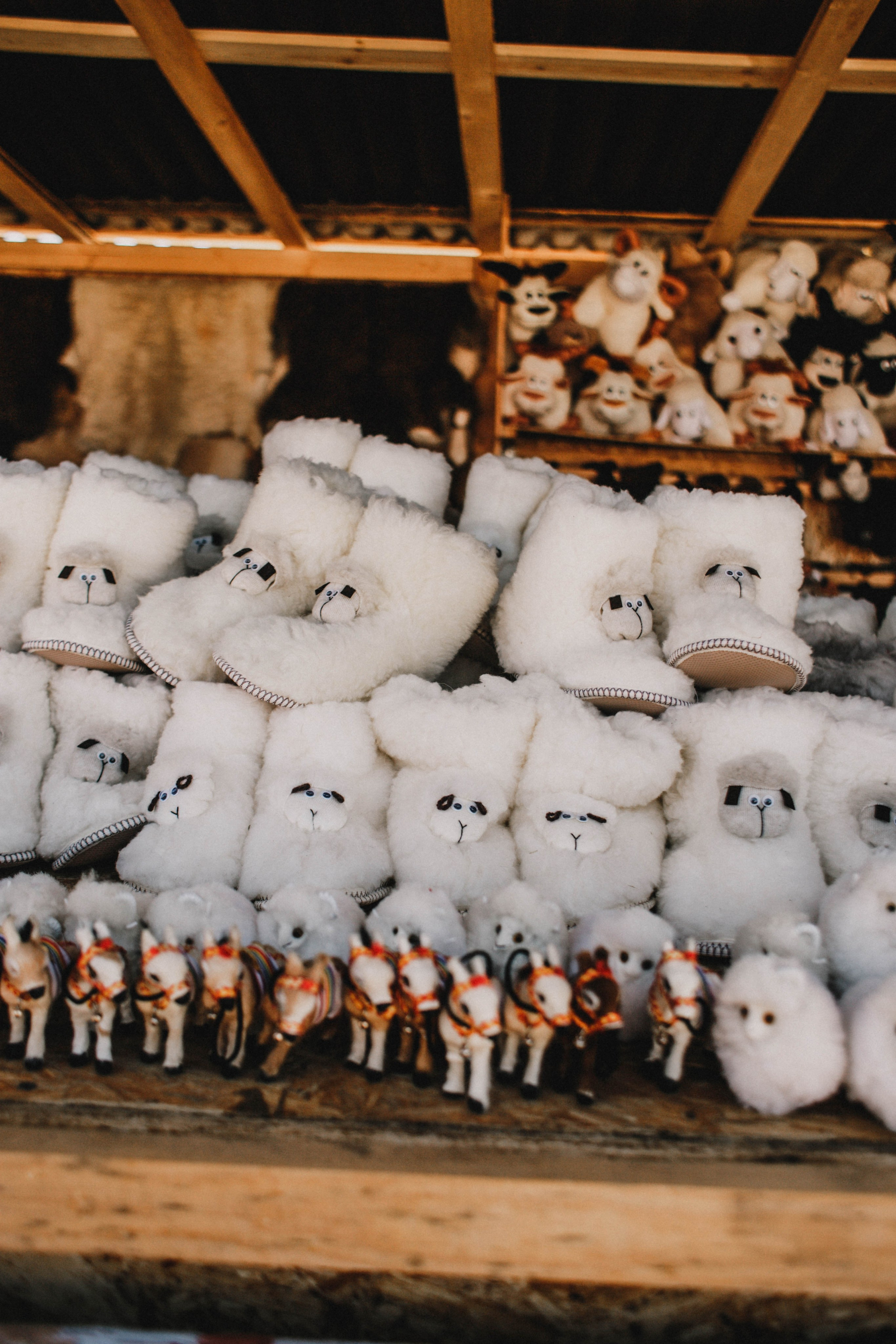 Дагестан. Чечня. 2024. Фотограф в Нижнем Новгороде