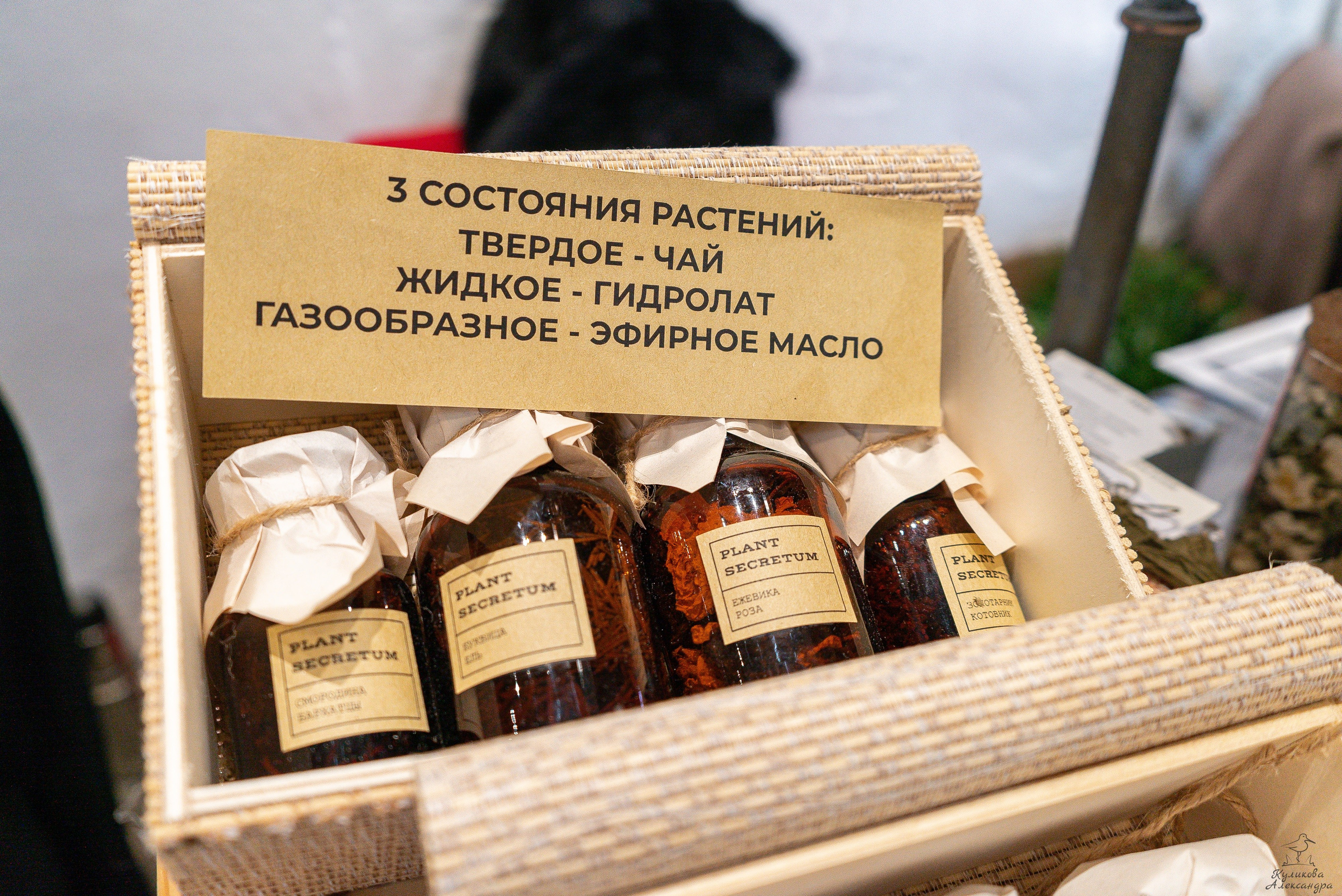 Гроубокс Артплей апрель. Александра Куликова фотограф, Москва