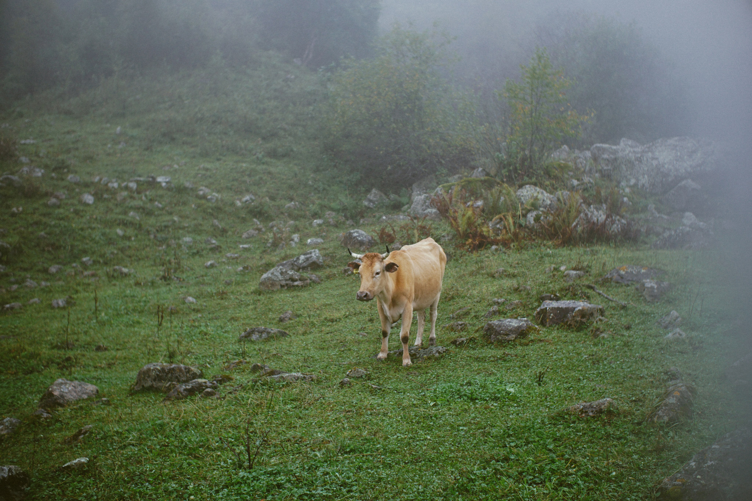 Блог про Верхнюю Балкарию. NECULTURED PHOTOGRAPHER