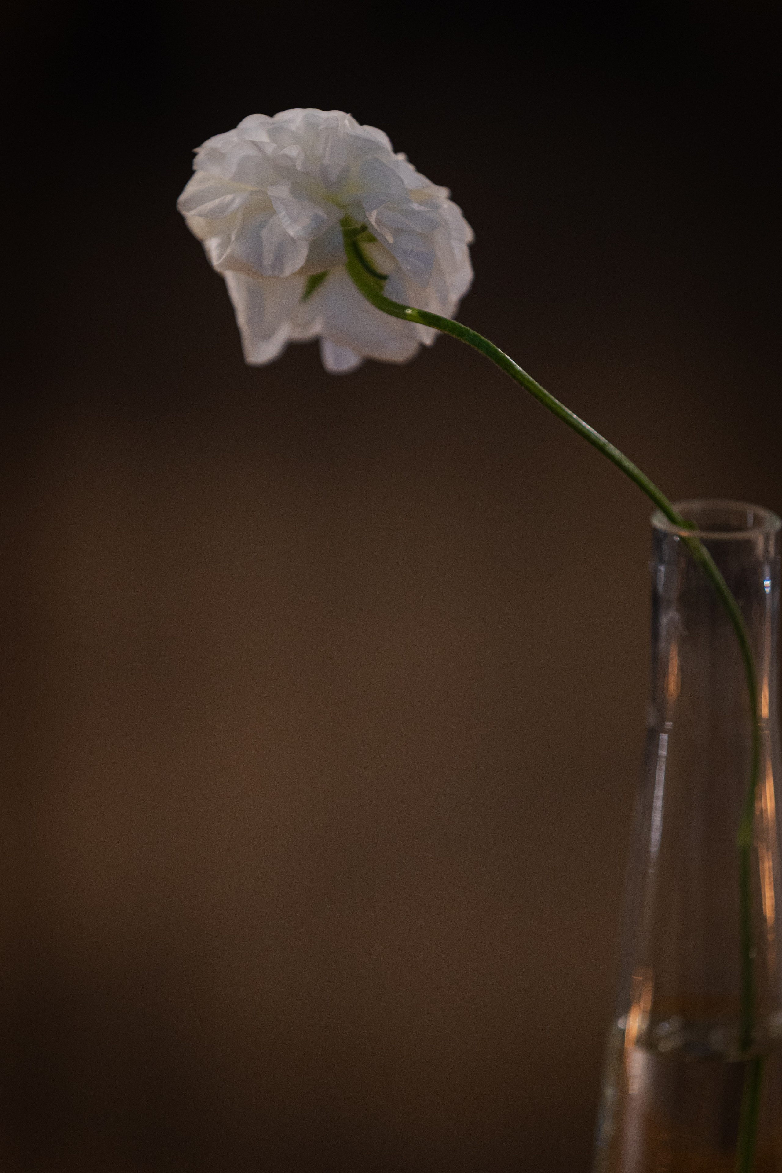 Анна и Антон. Ваш фотограф — Александра Андрущенко