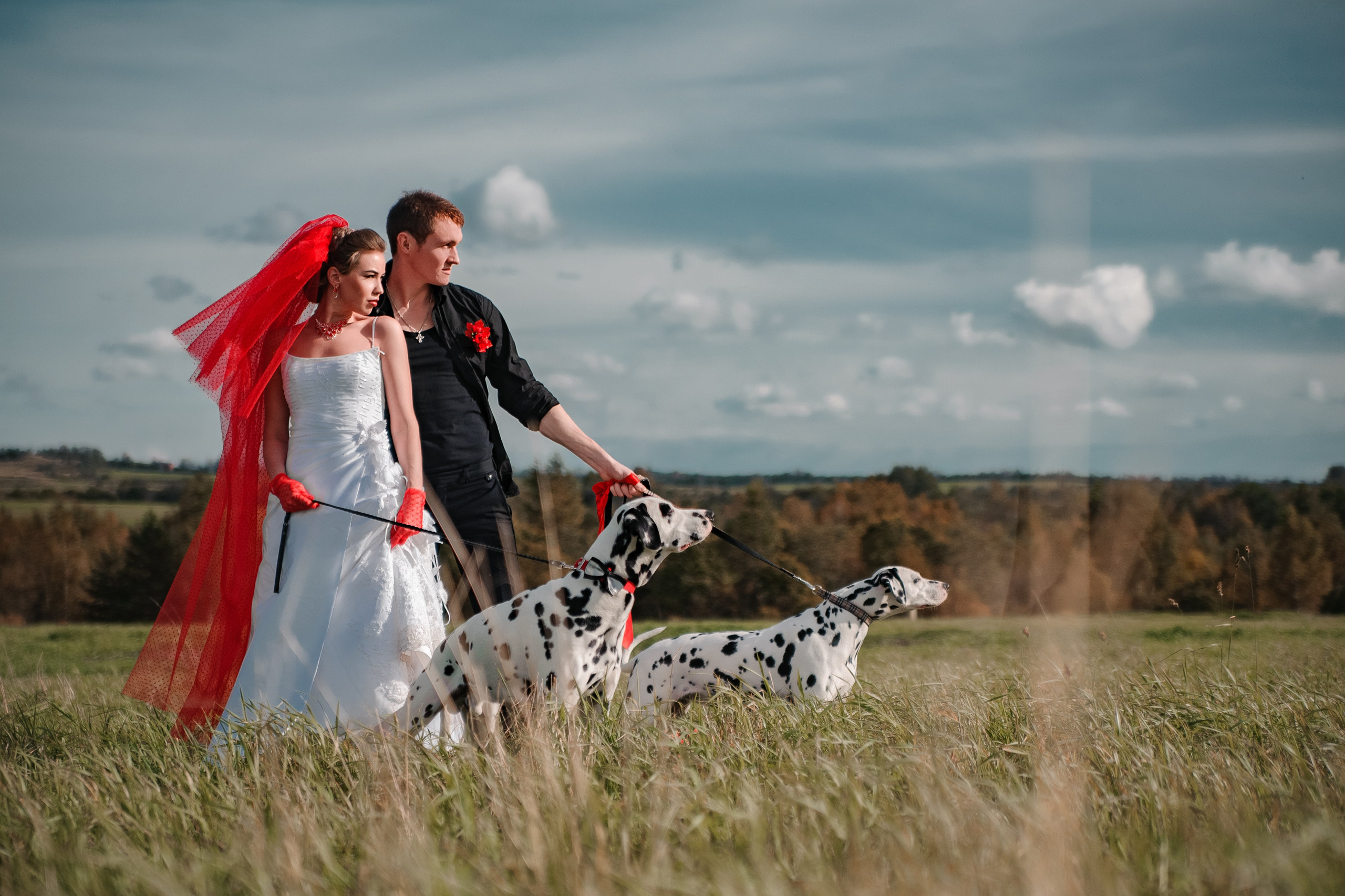 Фотограф Алексей Лукин. Свадьба, мероприятие, корпоратив, юбилей, фотосессия, портрет. Фотосъёмка в Санкт-Петербурге. Ретушь фотографий