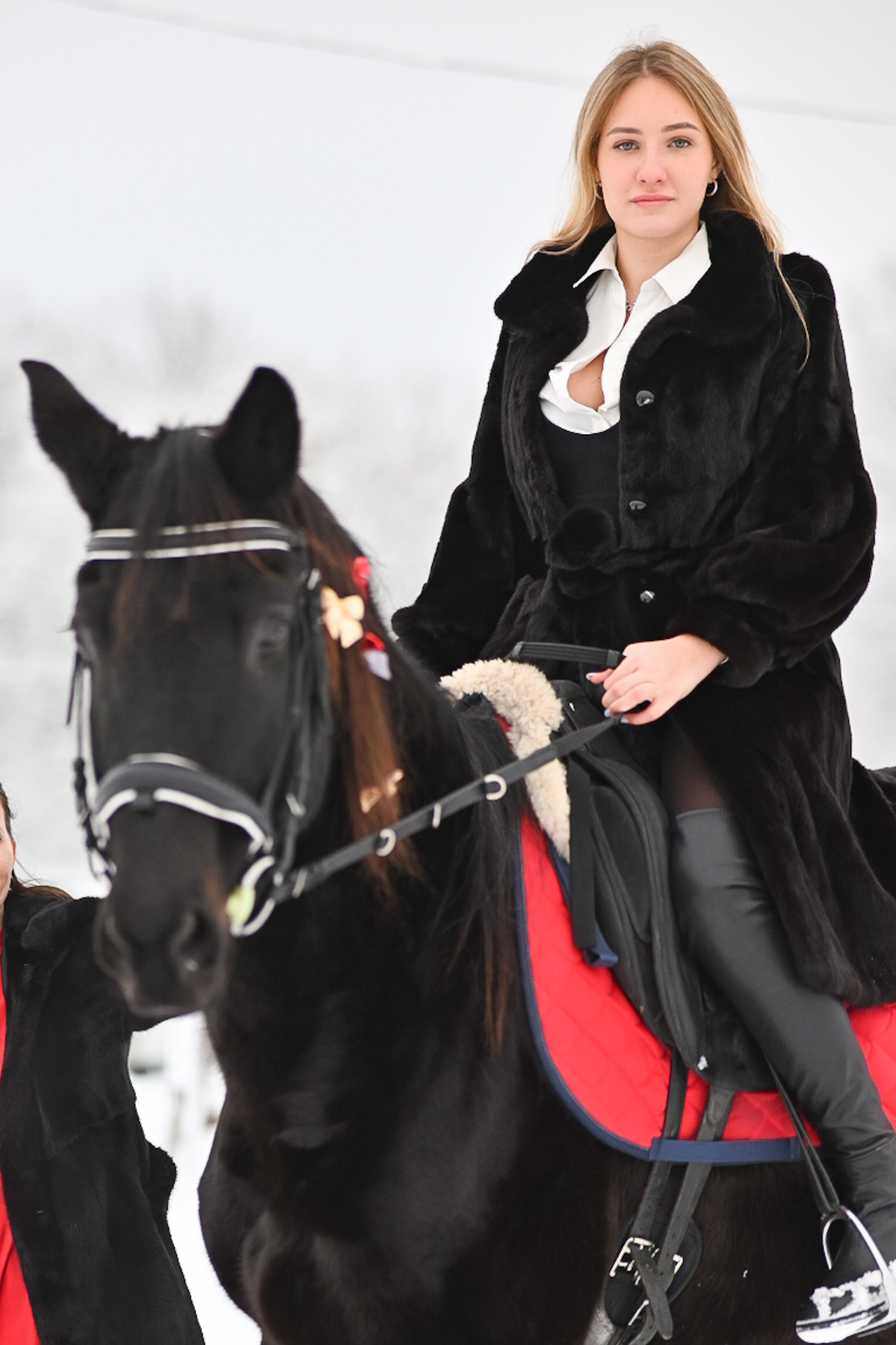 King. LifeStyle фотограф Анна Воробьёва Санкт-Петербург