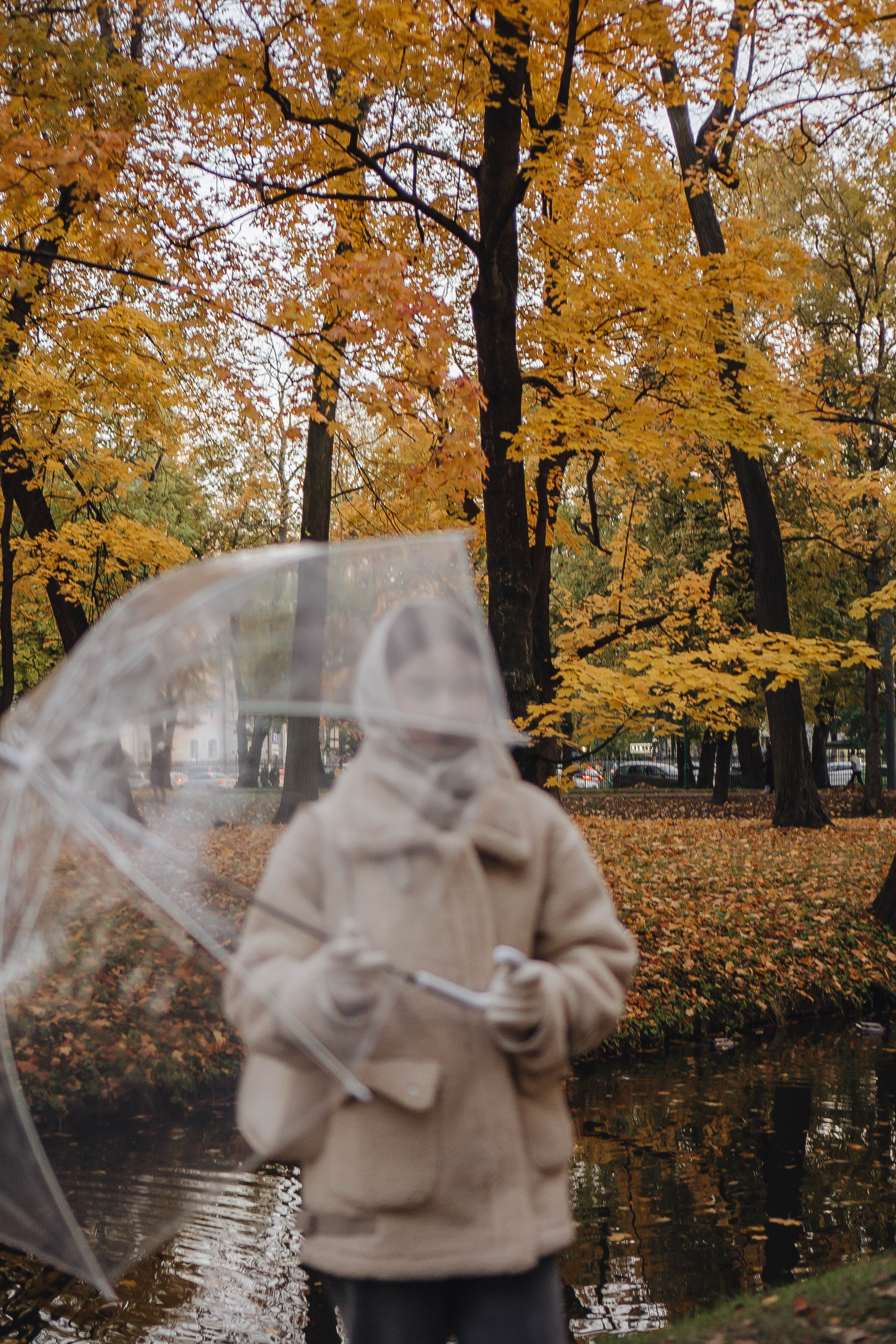 Осенняя. Профессиональный фотограф, Санкт-Петербург — Виктория Богомолова