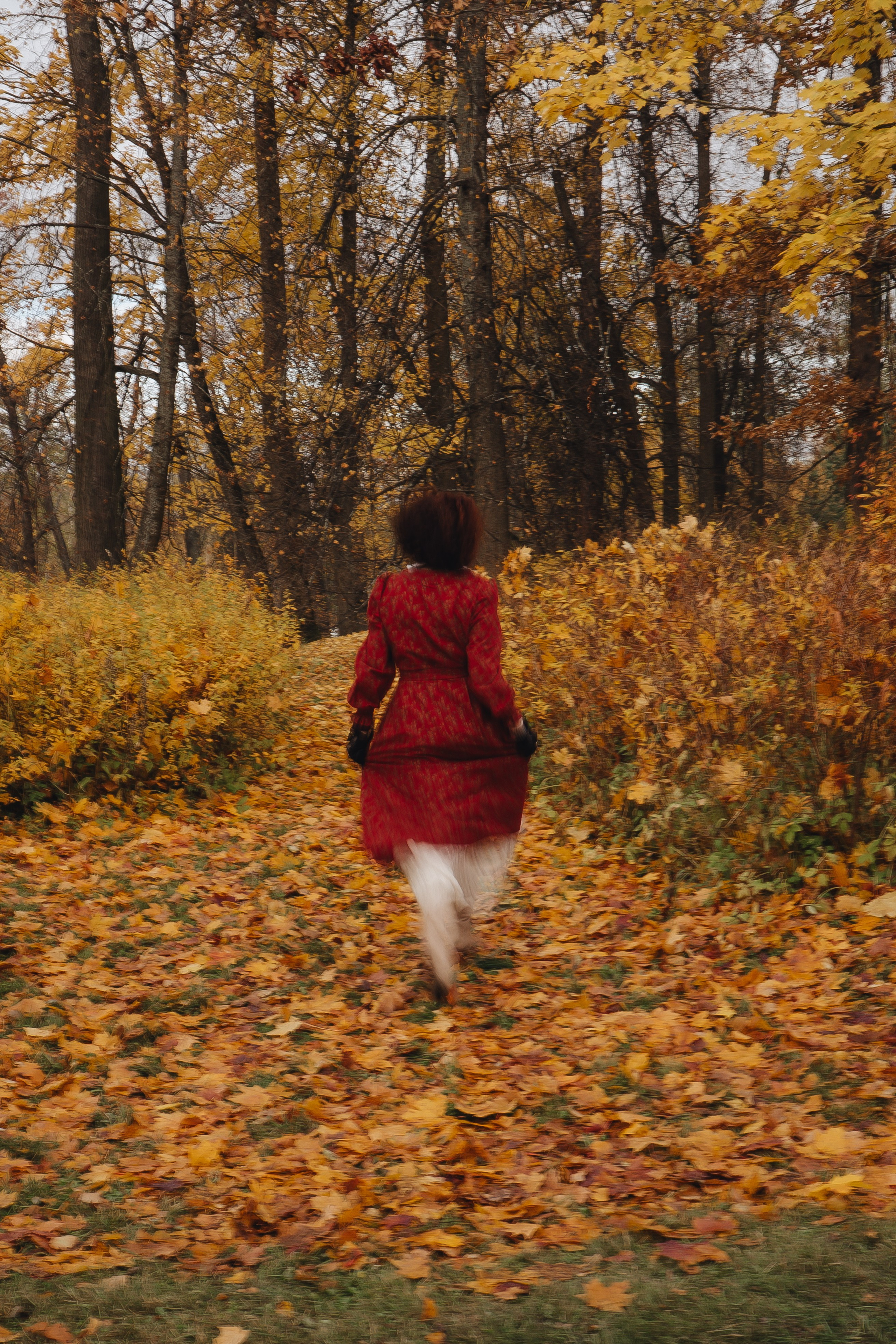 Осенний парк. Профессиональный фотограф, Санкт-Петербург — Виктория Богомолова