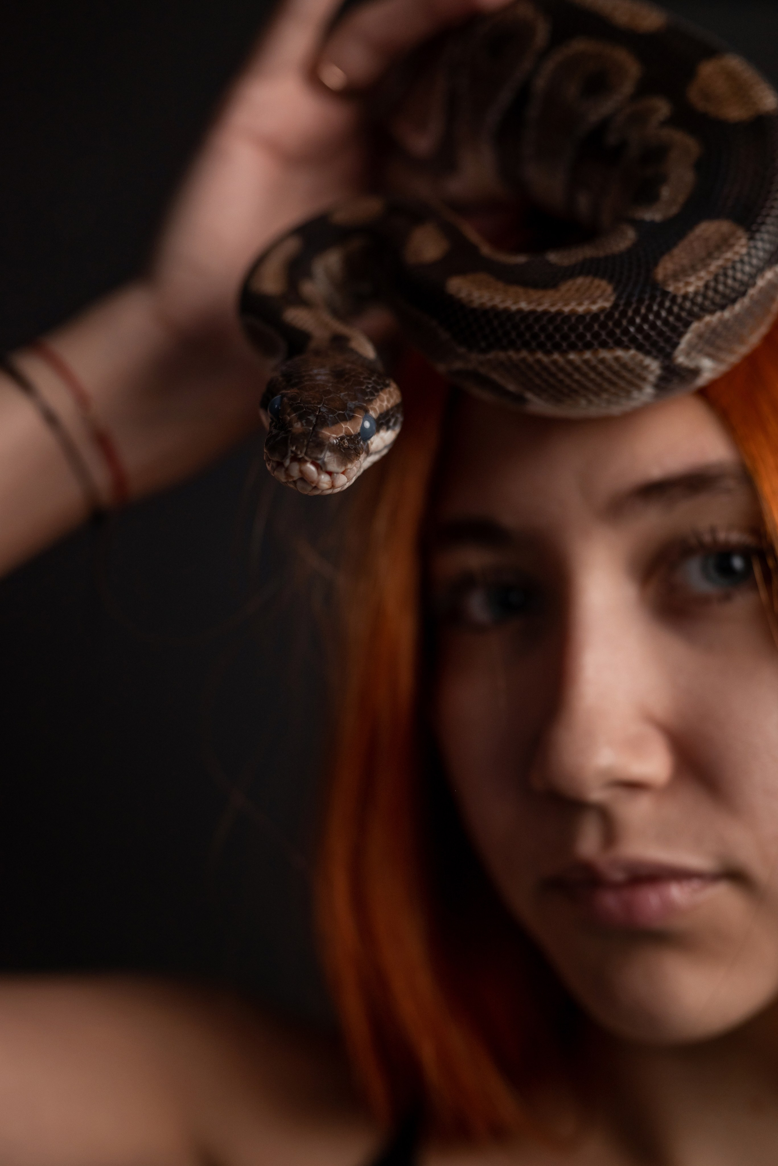 Фотопроект с питоном. Фотограф в городе Салават