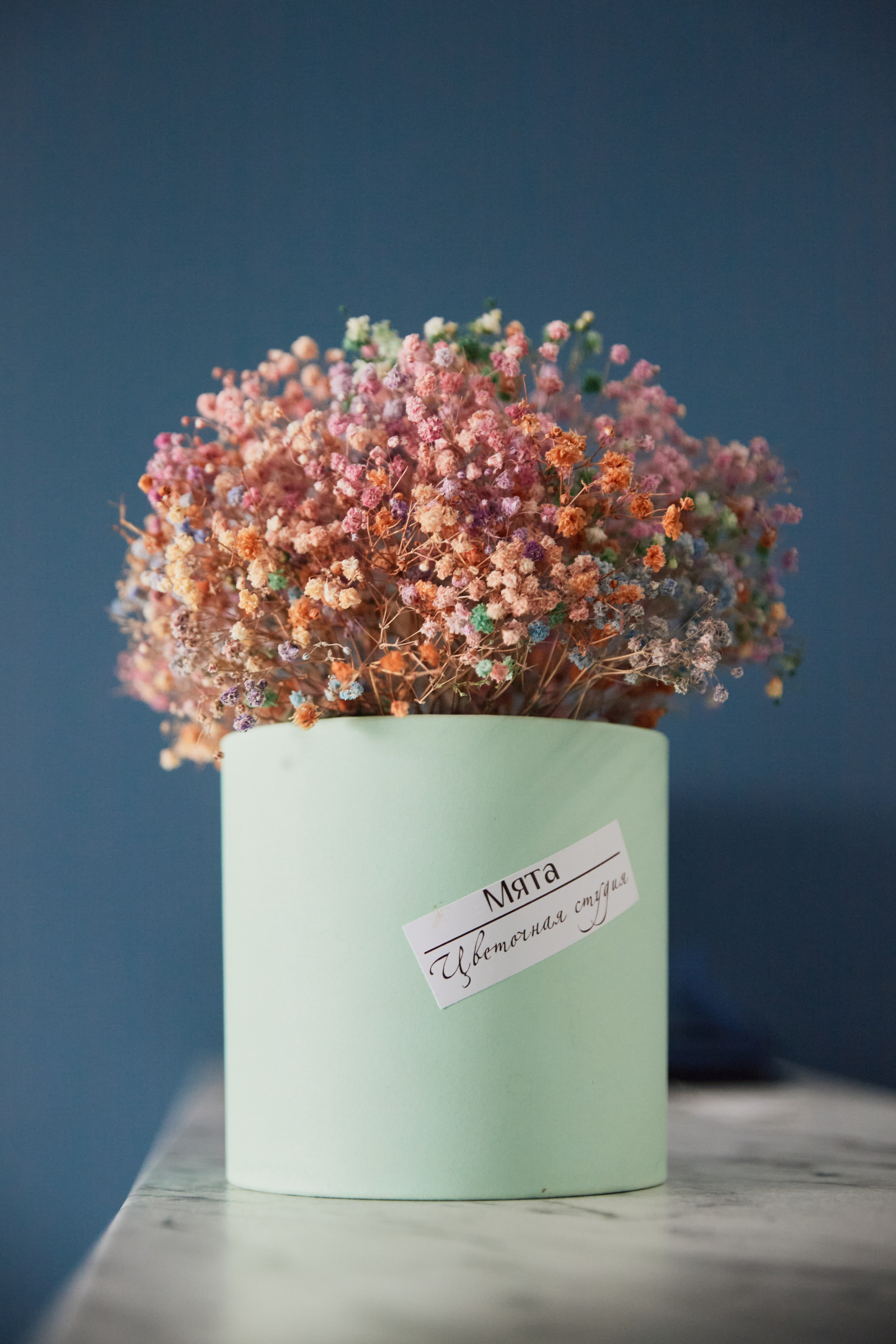 Дарья. Фотограф и видеограф в Кургане Леонид Корнильев