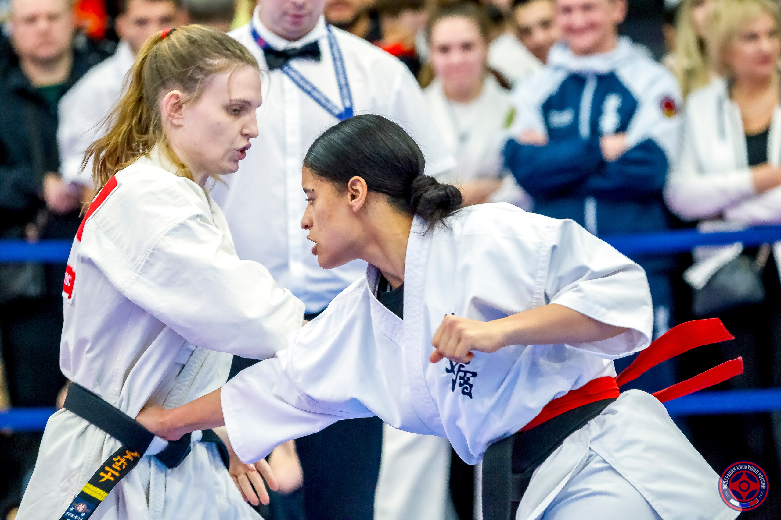 Международный турнир по киокушин «Открытый кубок Seiken». Репортажная съемка в Москве и области. Анималистика