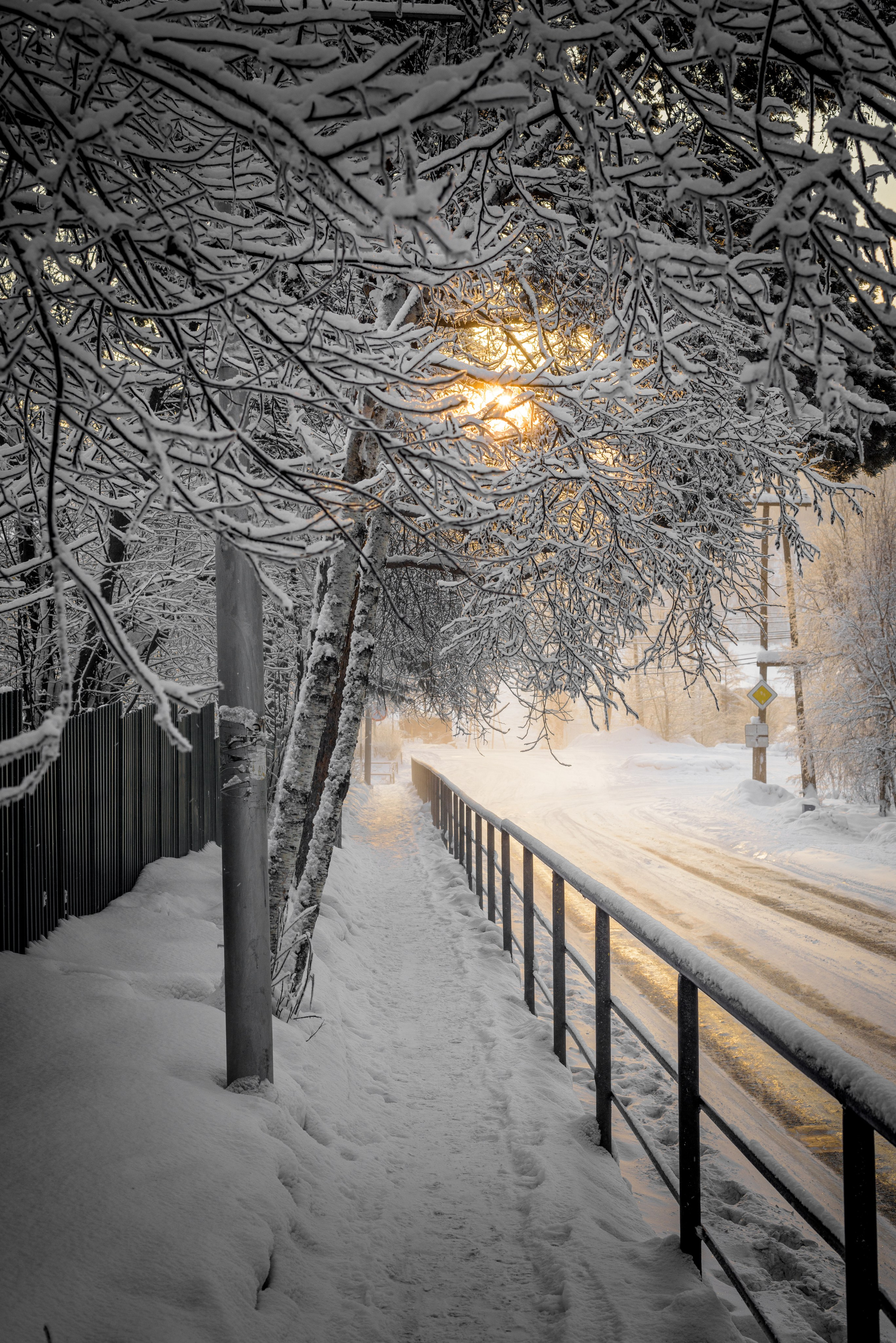 Разное. Школьный и свадебный фотограф в г. Бодайбо Артём Бельский