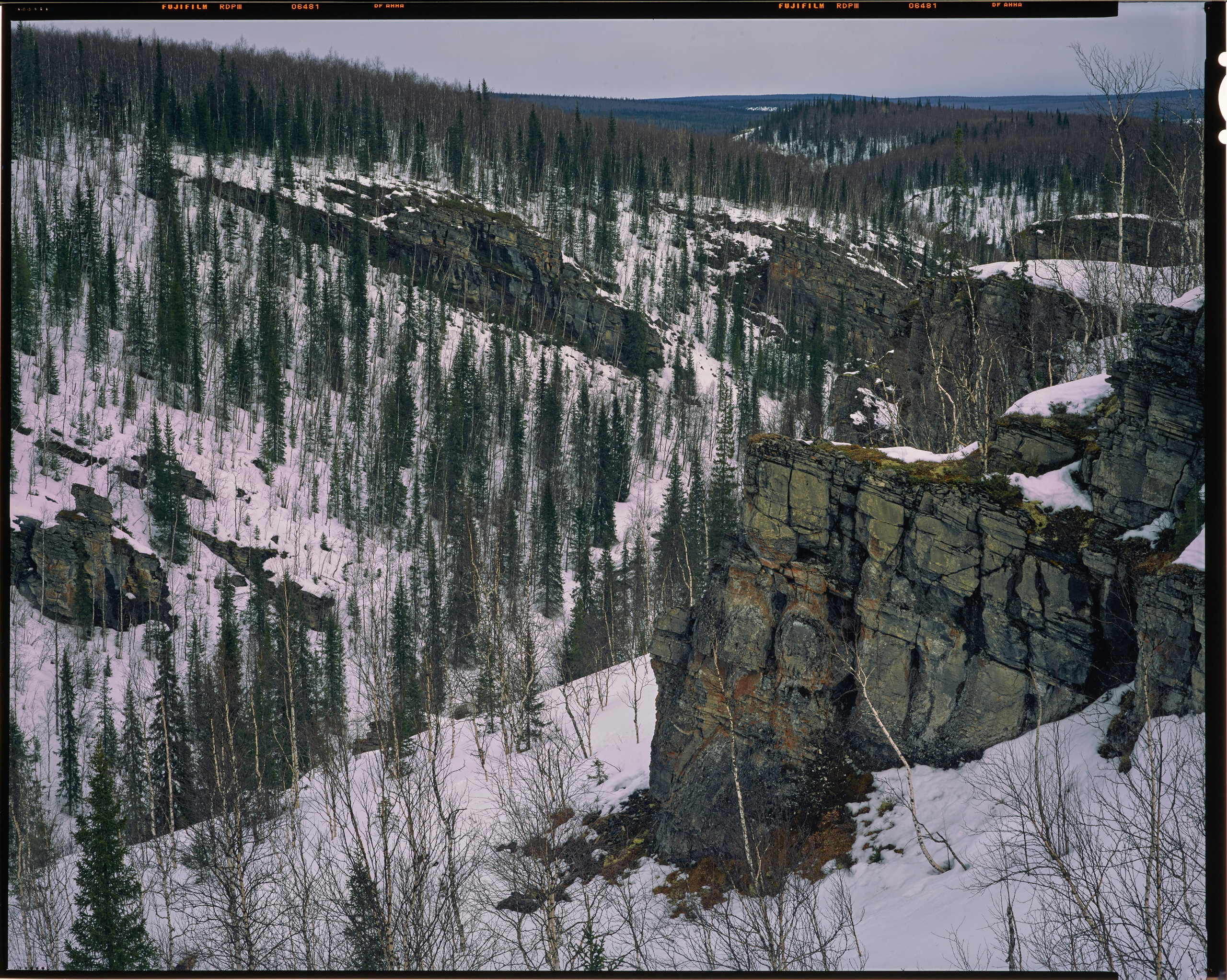 Полевая фотосъёмка форматными камерами. Multica. Мастерская камер большого формата