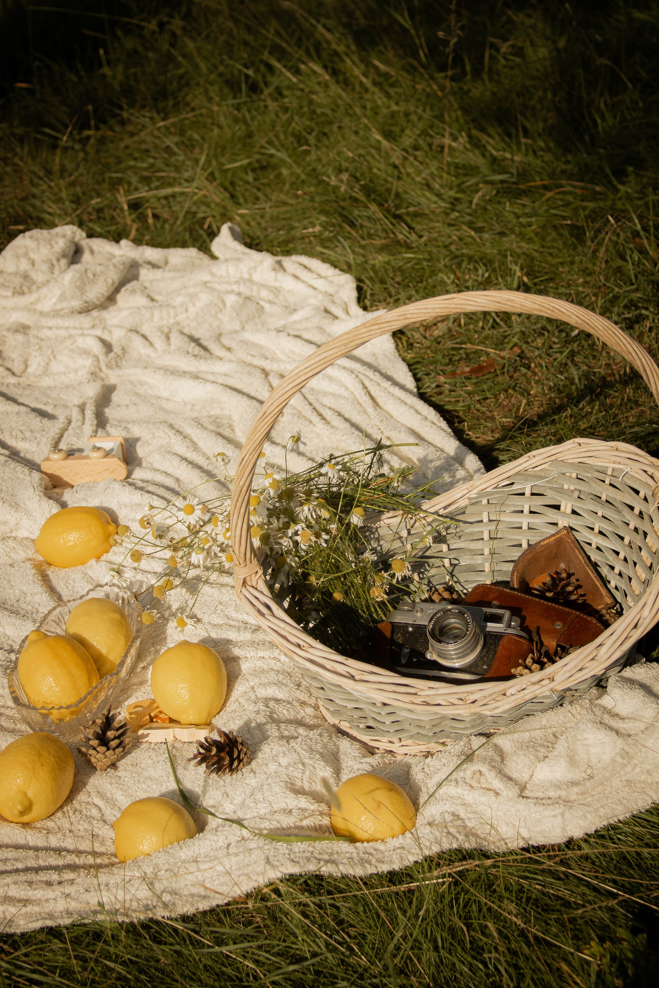 Наедине с природой. Семейный и детский фотограф в Павловском Посаде Сарапкина Наталья