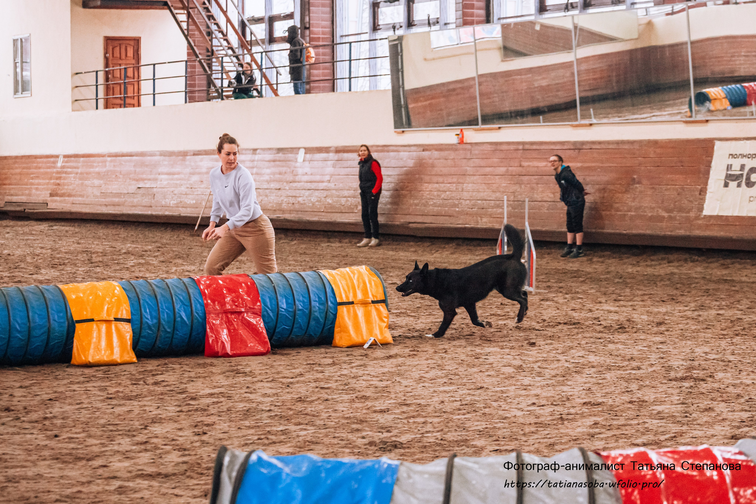 Соревнования по Аджилити 25.02.2024. Фотограф-анималист Татьяна Степанова