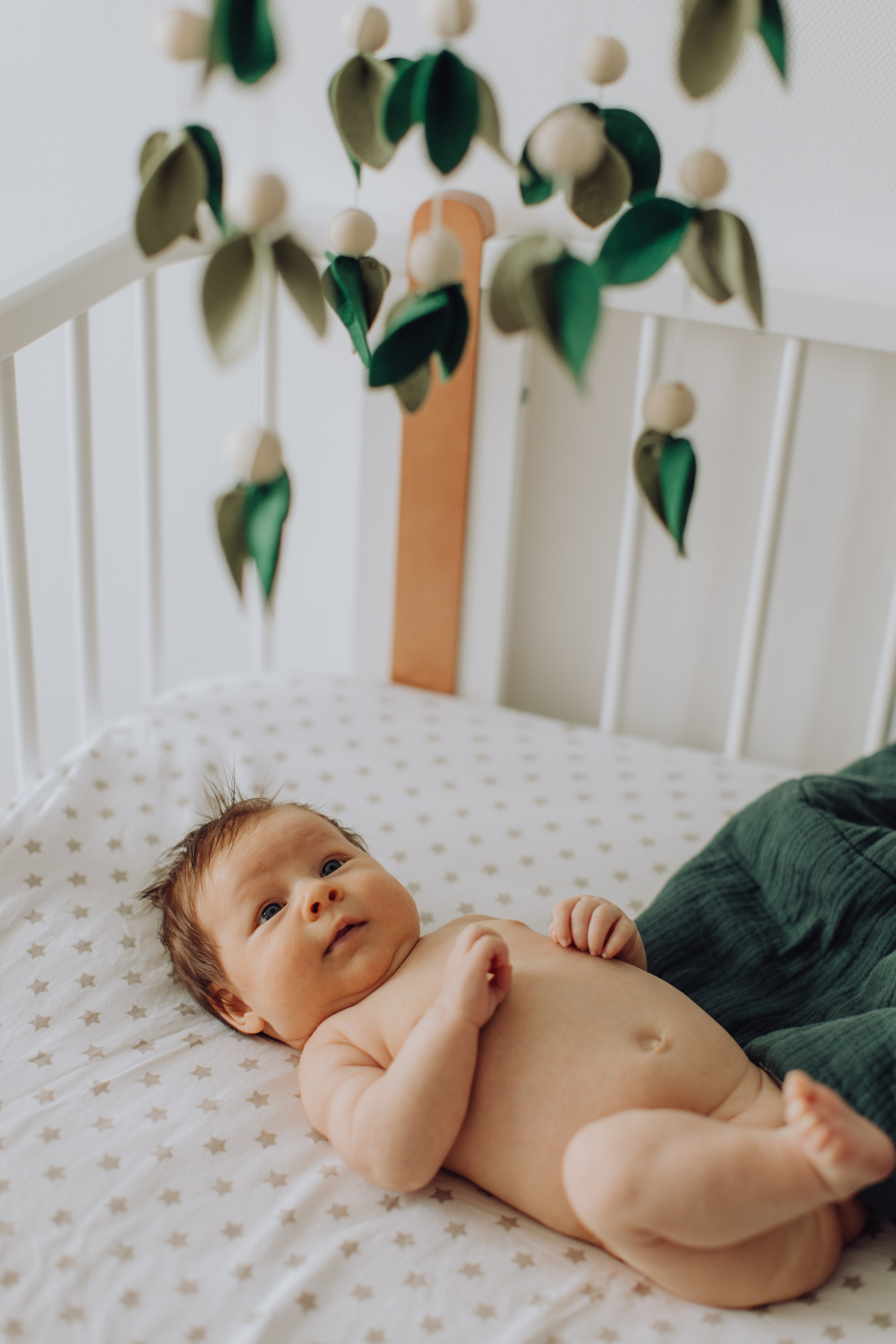 Дома хорошо). Главная