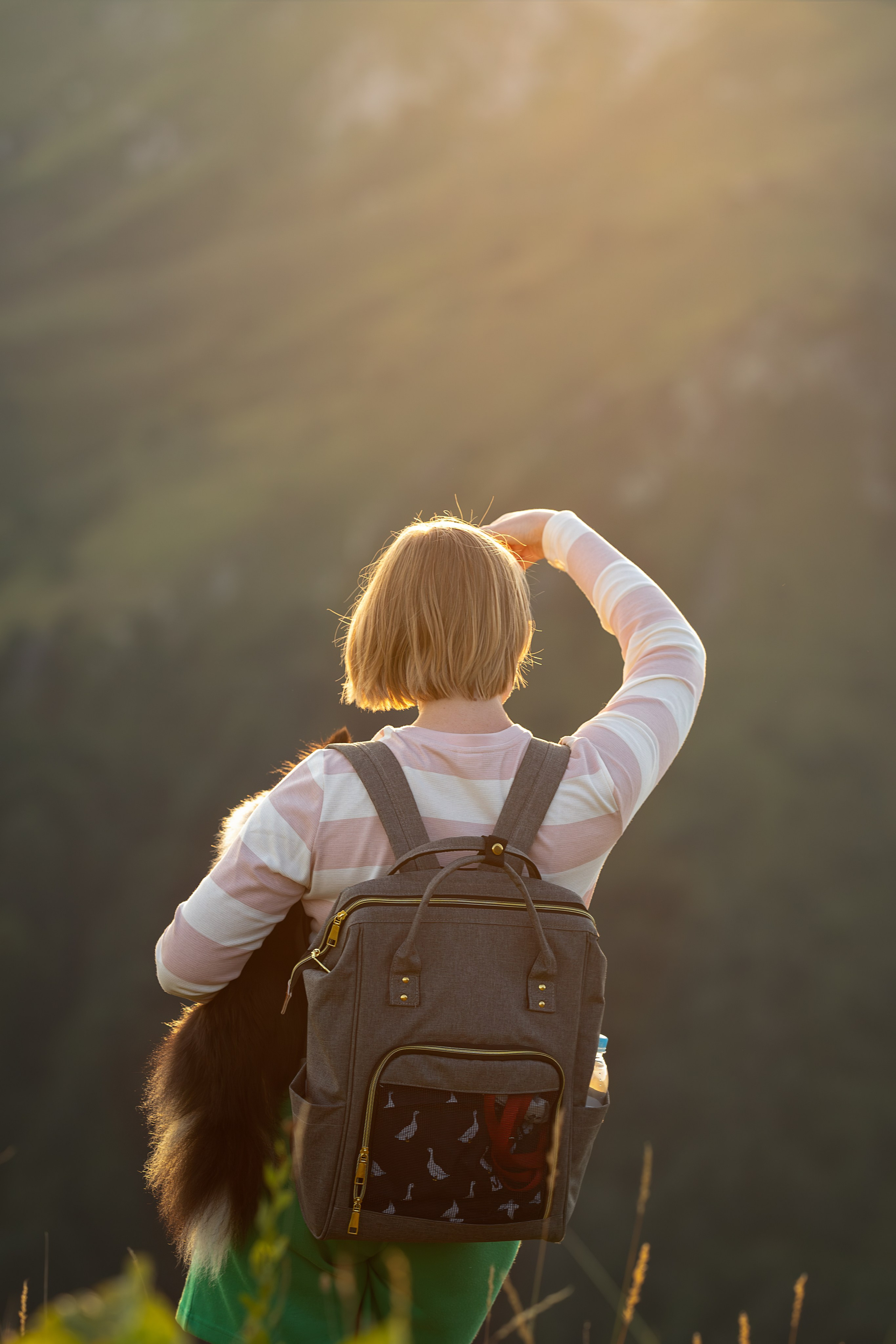 Мята, Шелти. Ирина Голомб|Фотограф-анималист в  Сочи и Калининграде