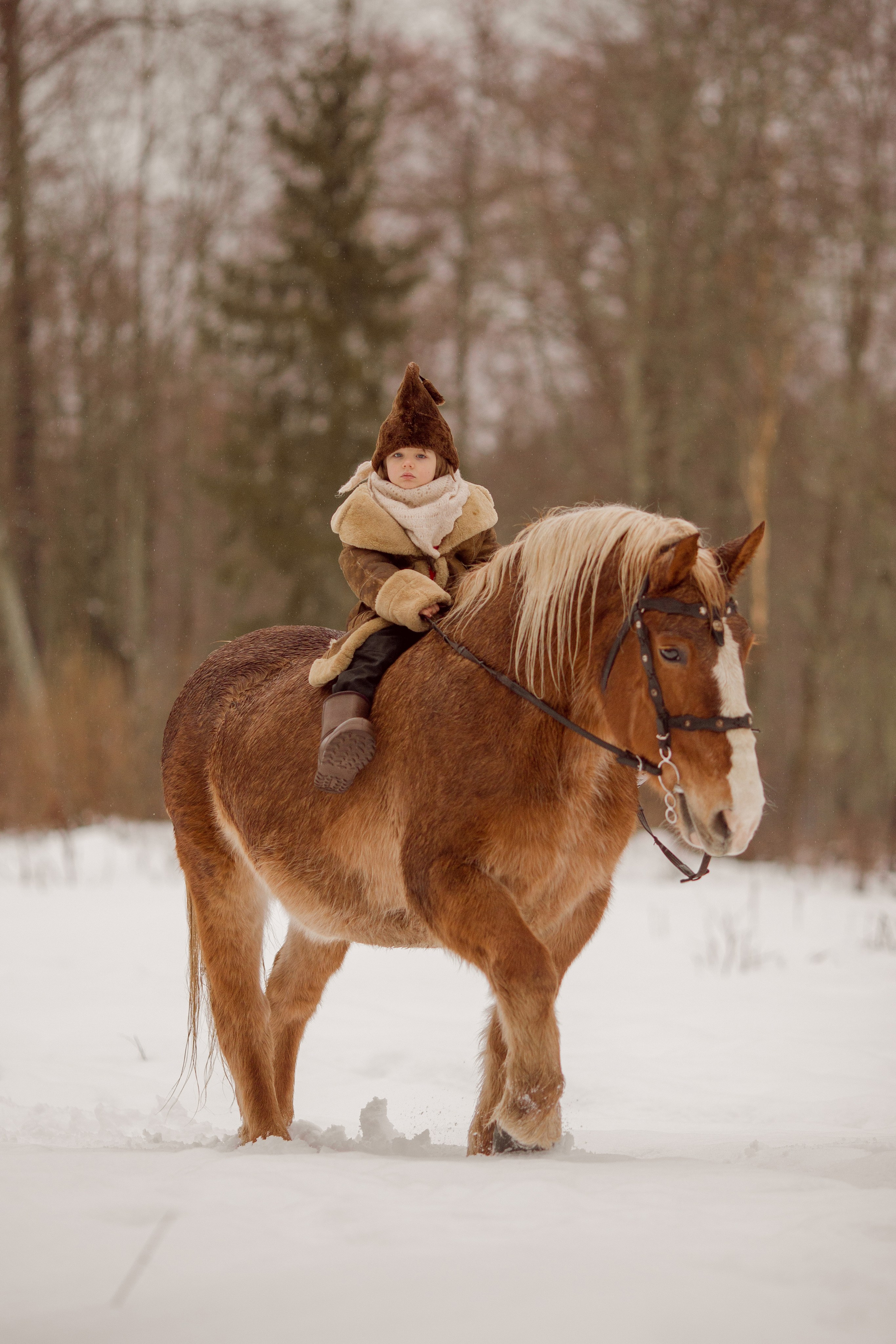 Фото мальчика и лошади зимой