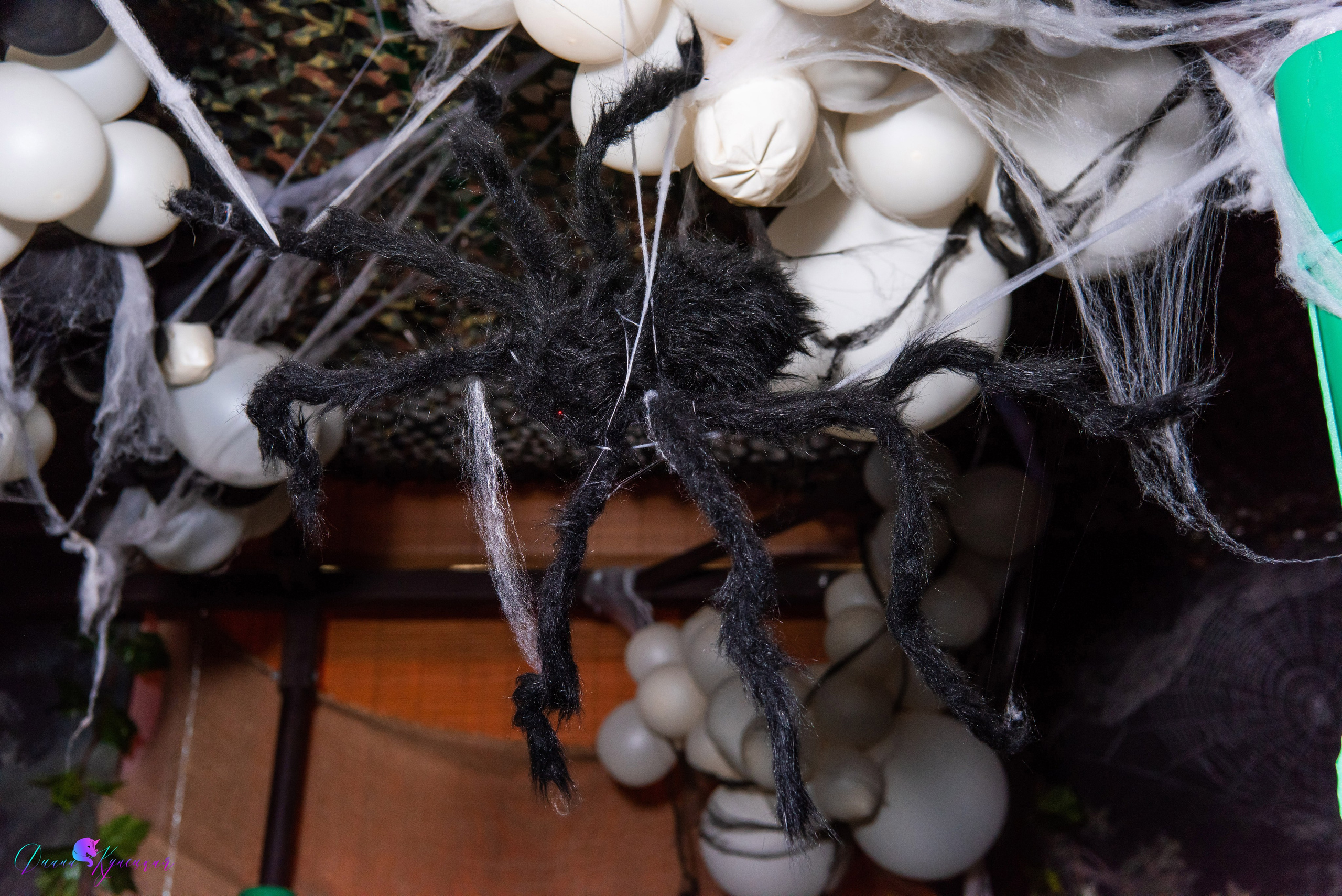 День Рождения Нади. «Джуманджи Красногорск». Свадебный и арт-фотограф Кунецкая Диана